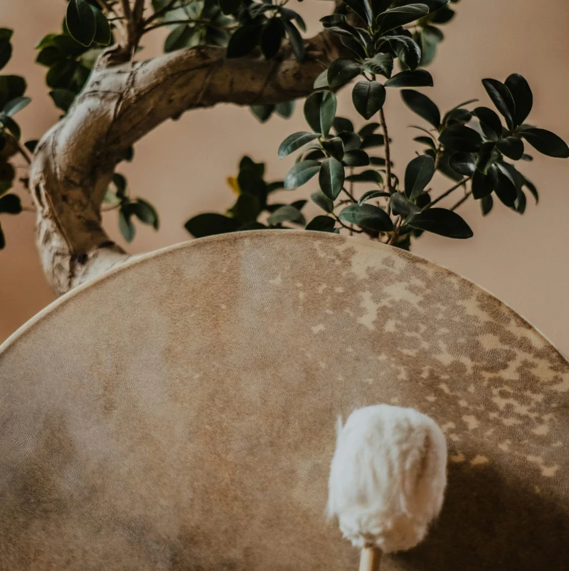 Het transformatie proces - sjamaan