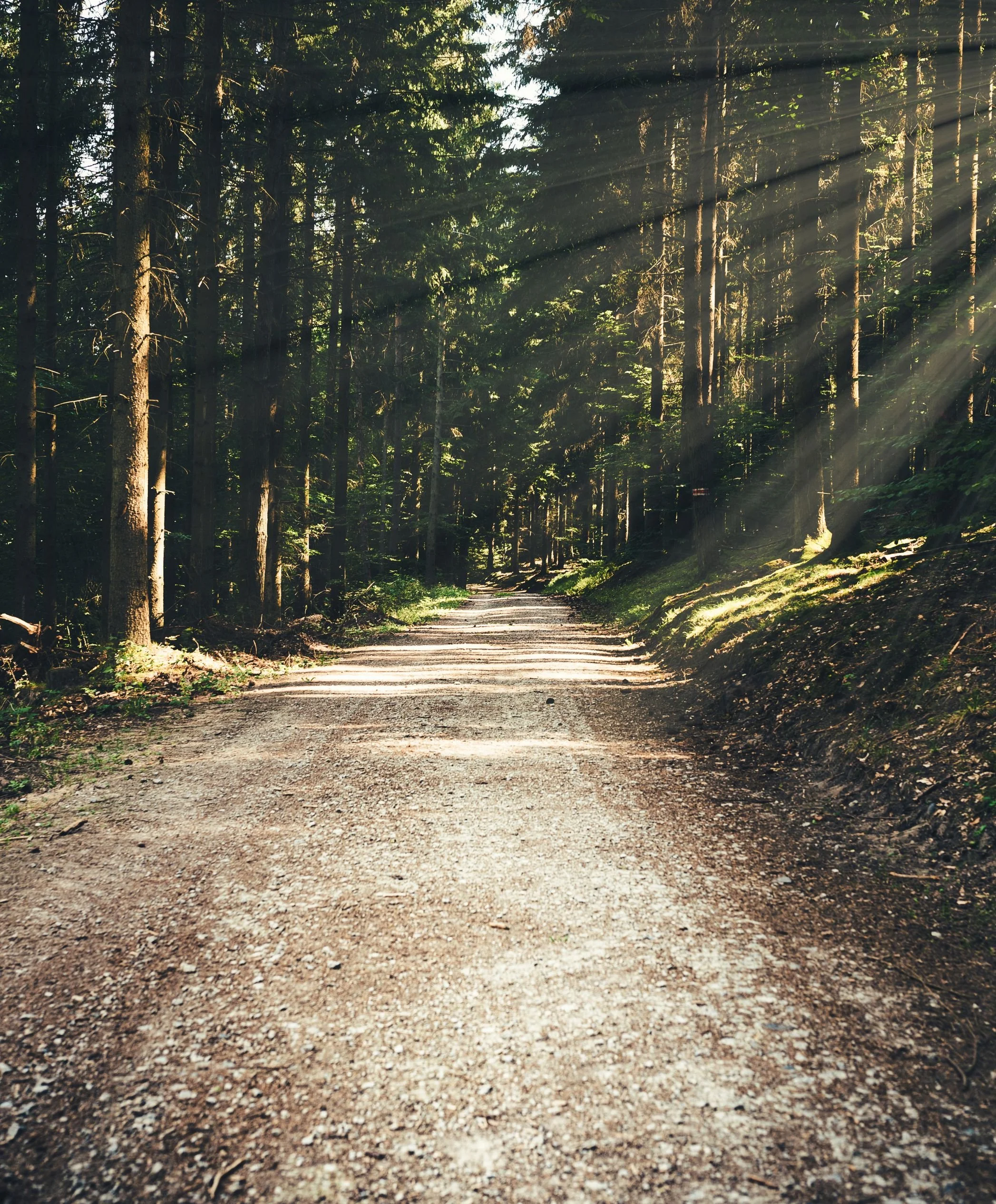 Het transformatie proces