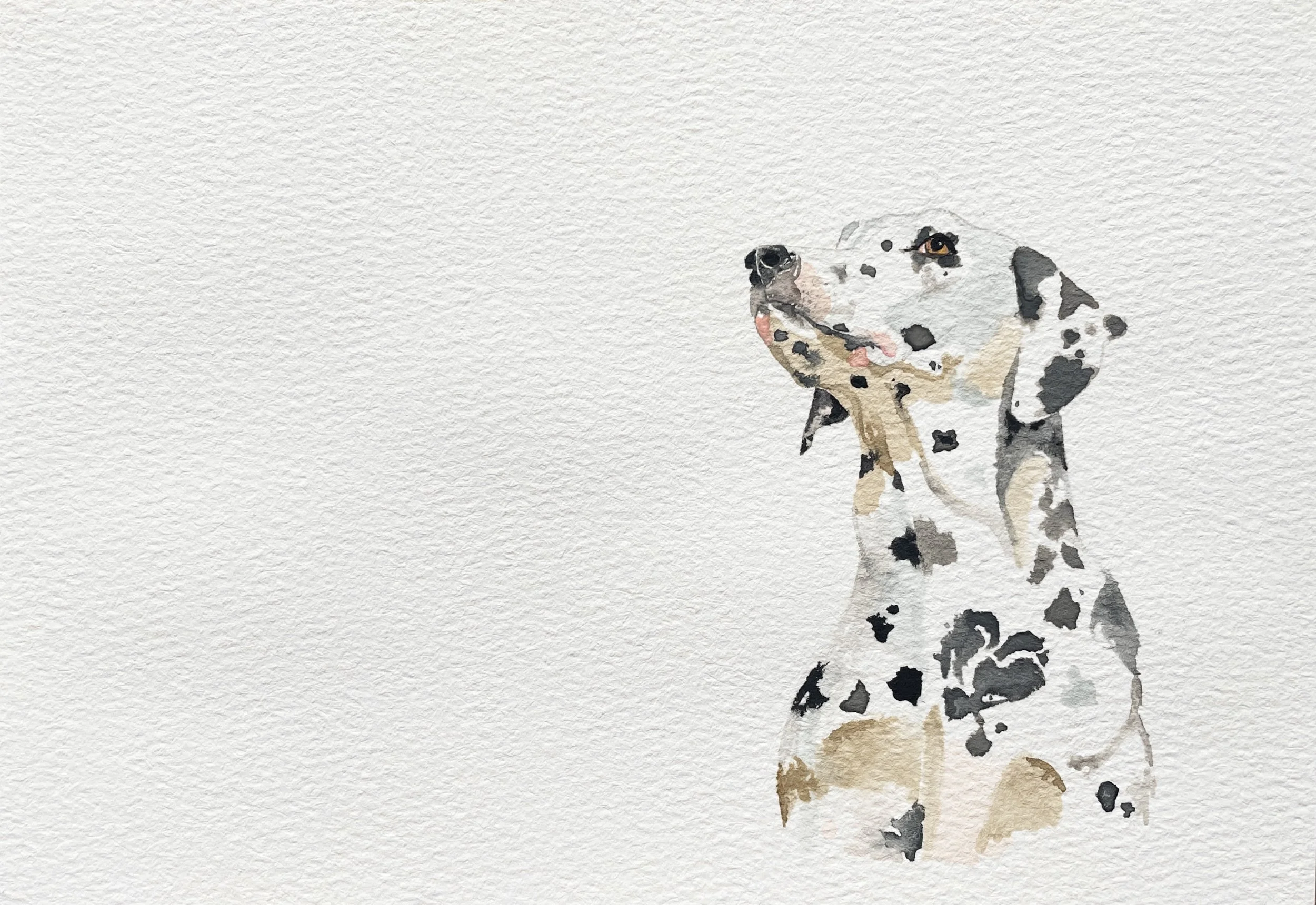 Dalmatian - 5x7in Watercolor Original