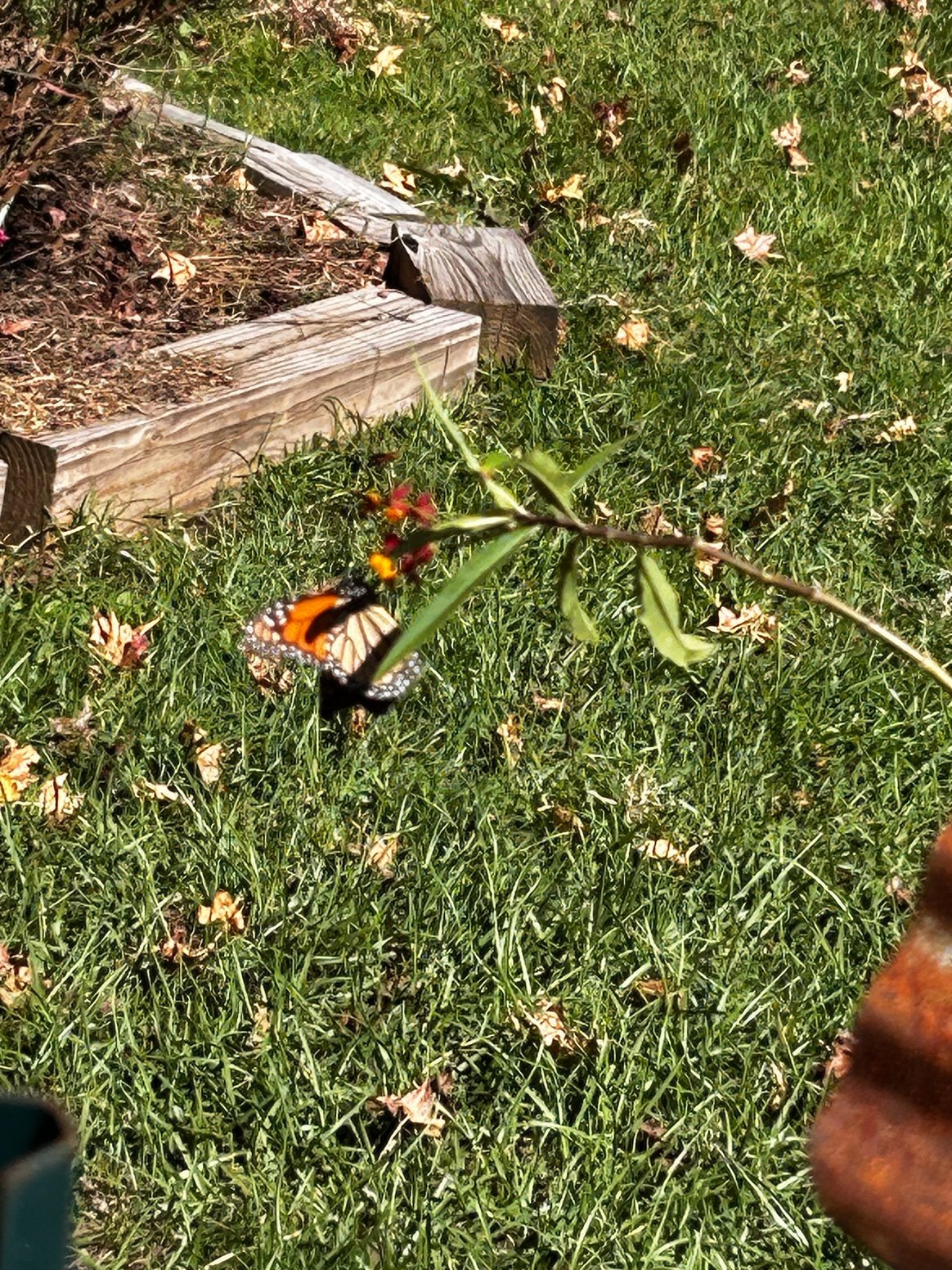 Falling Into October 31.jpeg