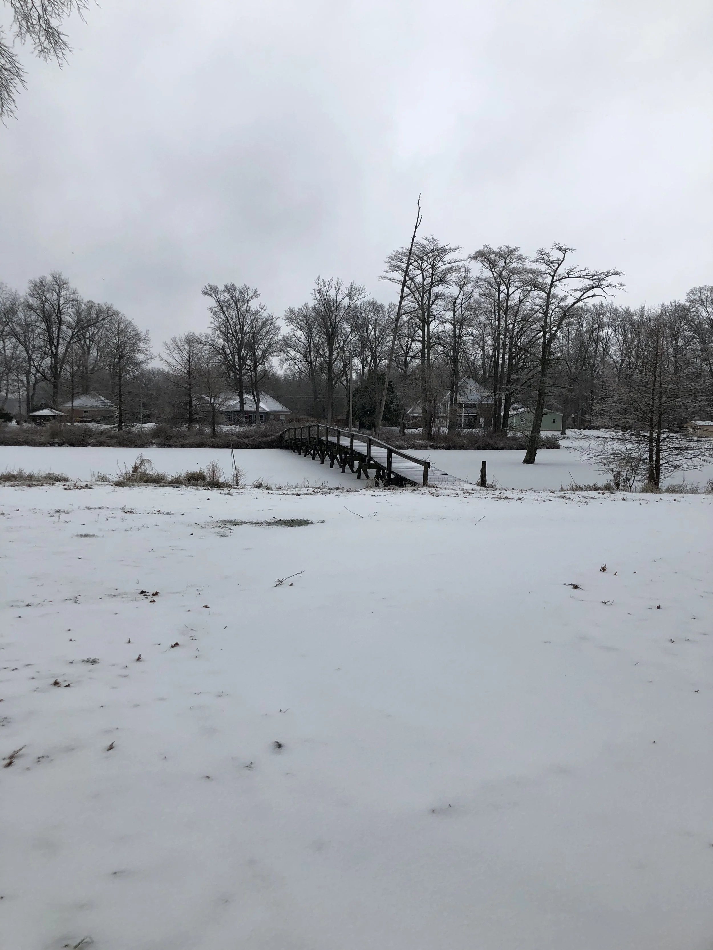 frozen1.jpg