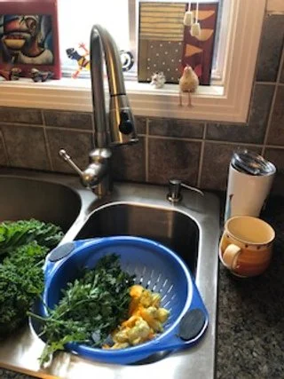 IMG_0547.jpg
