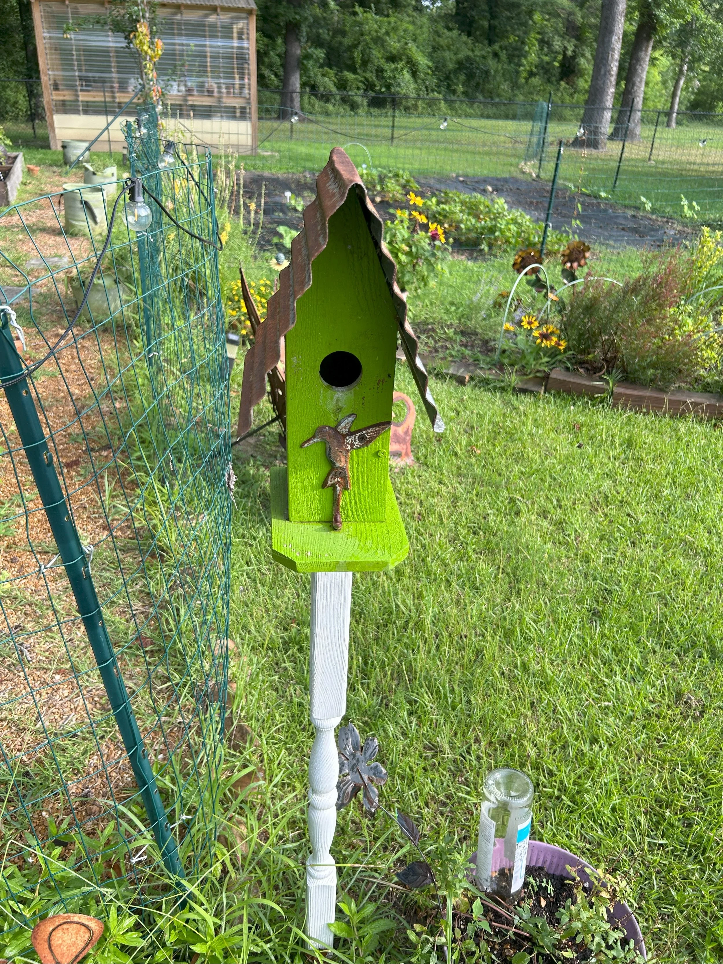 bird nest2.jpeg