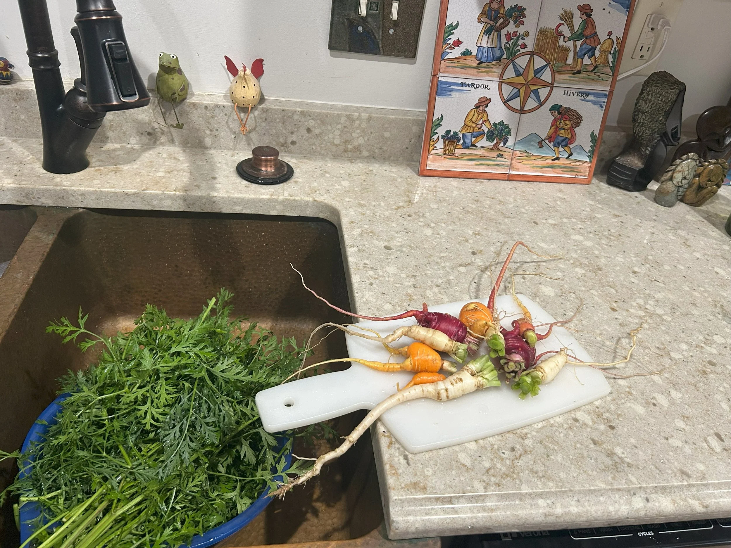 carrot tops.jpeg