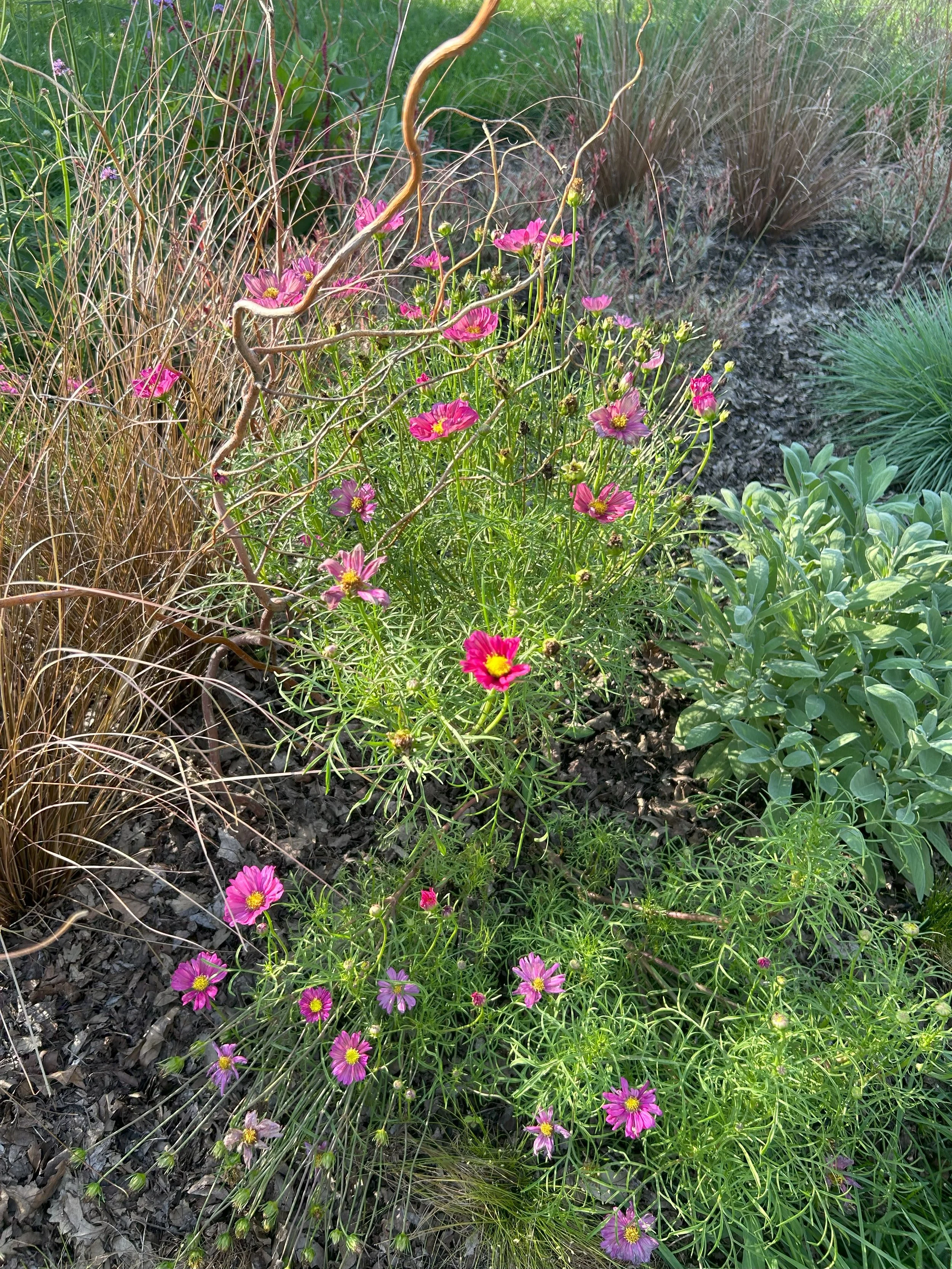 flowers3.jpeg