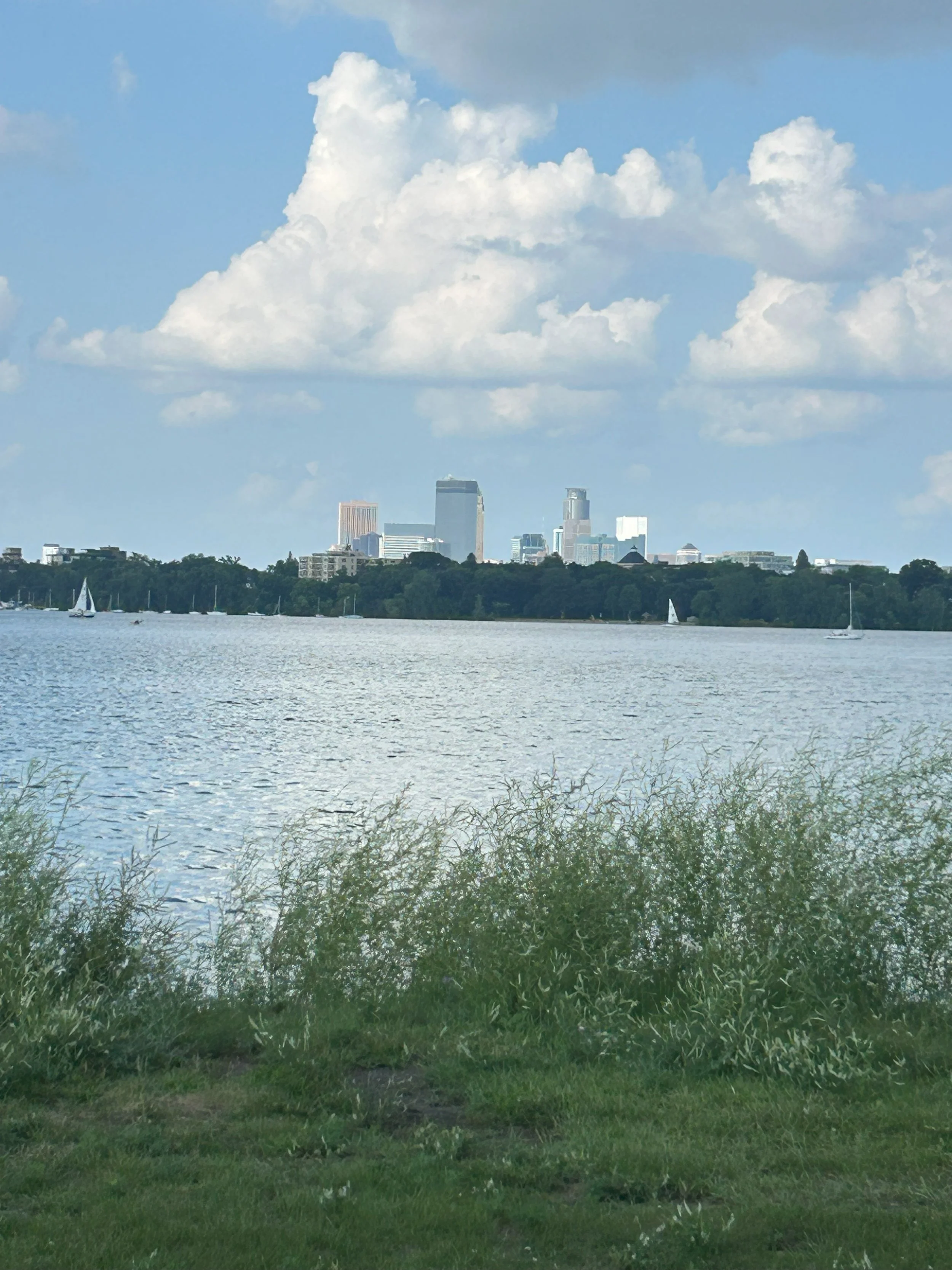 MSP lake.jpeg