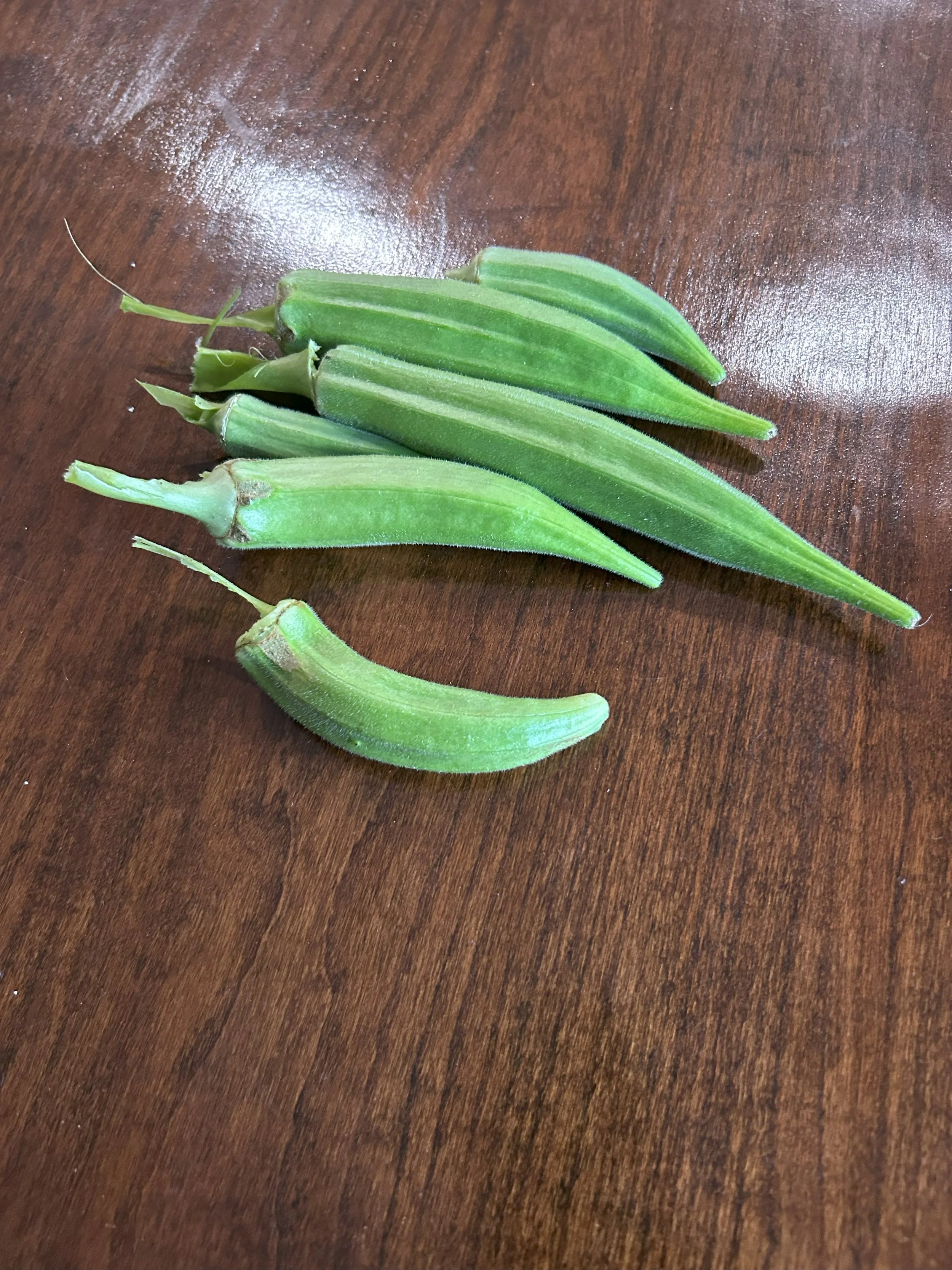 okra.jpeg