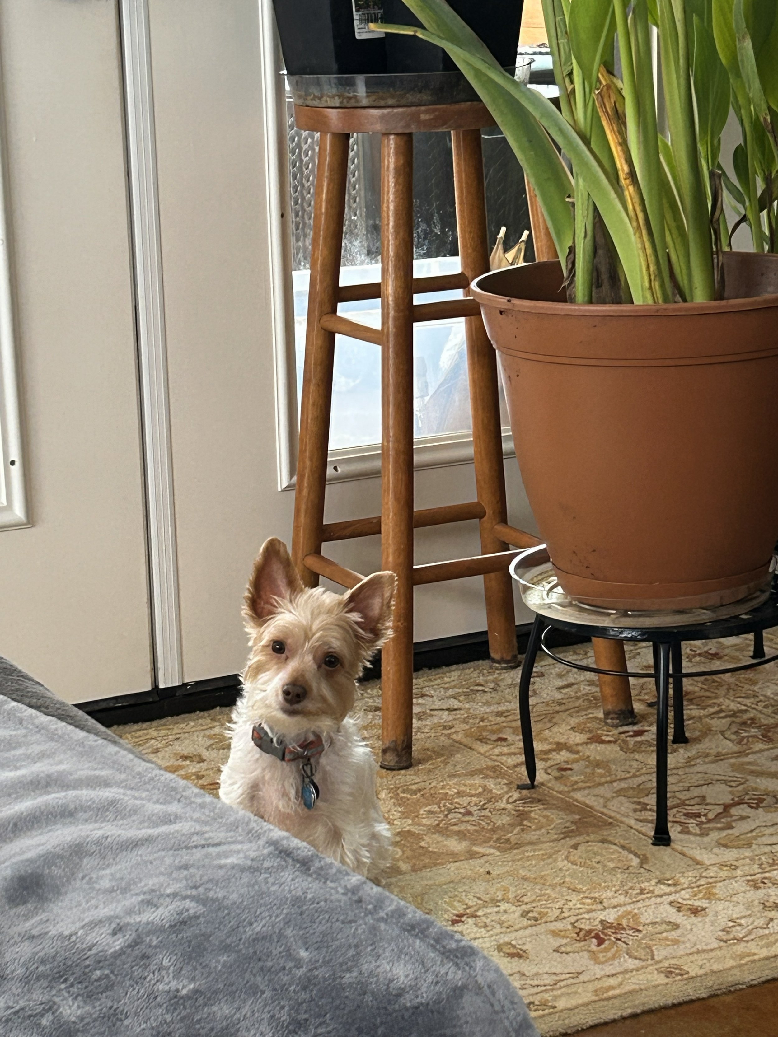 Emi tired of storm.jpeg