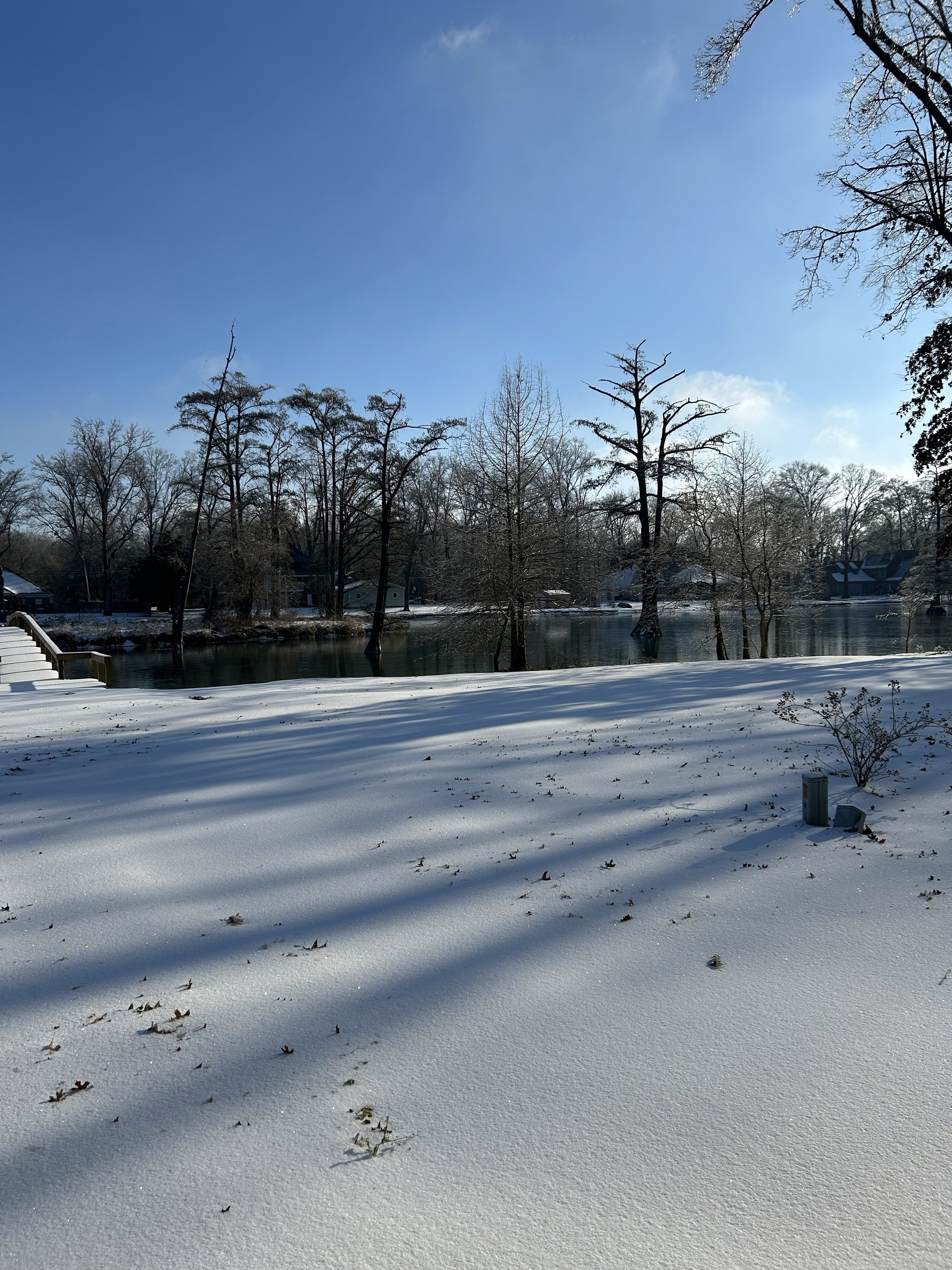 frozen pond1.jpeg