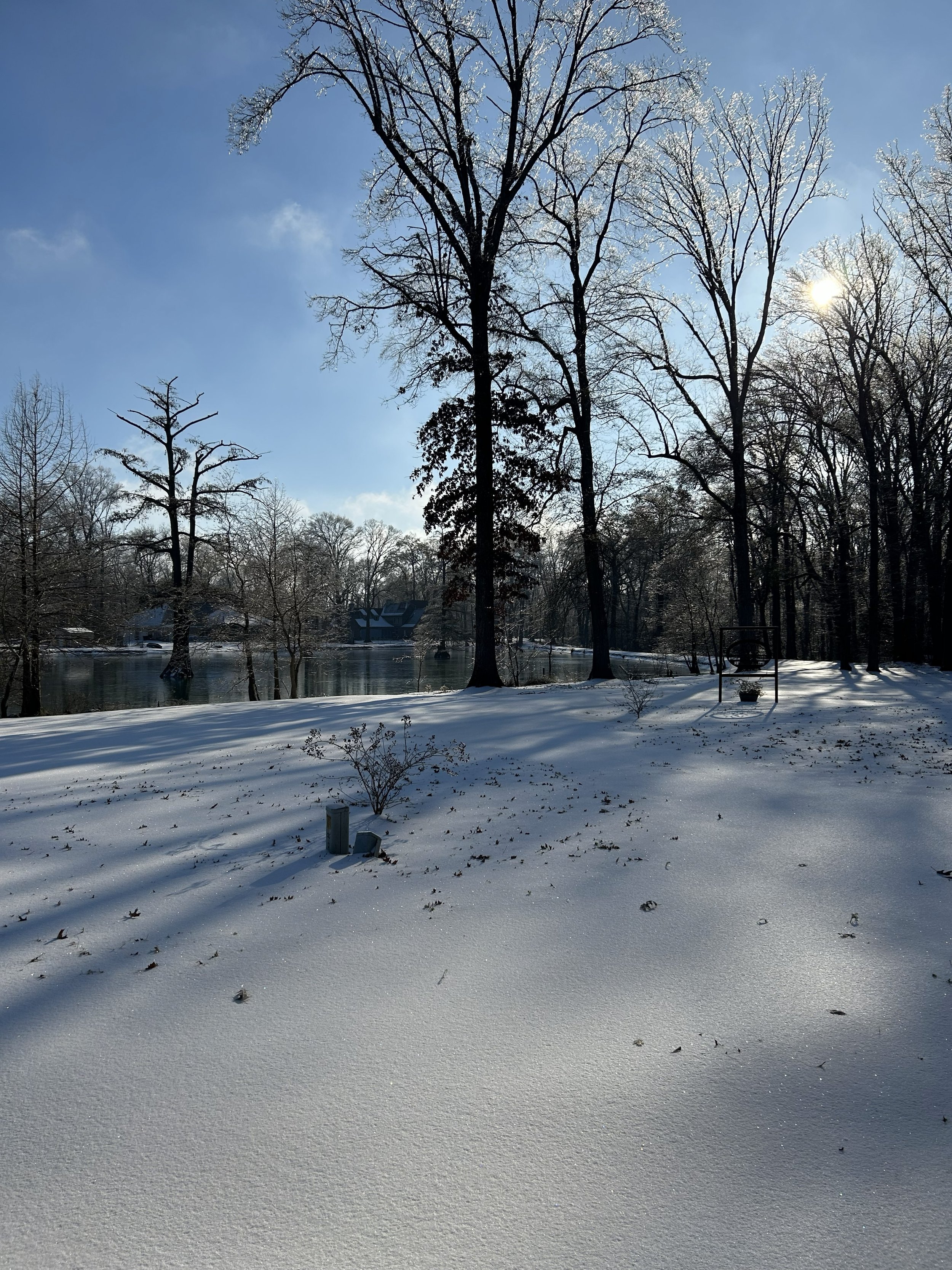 frozen pond2.jpeg