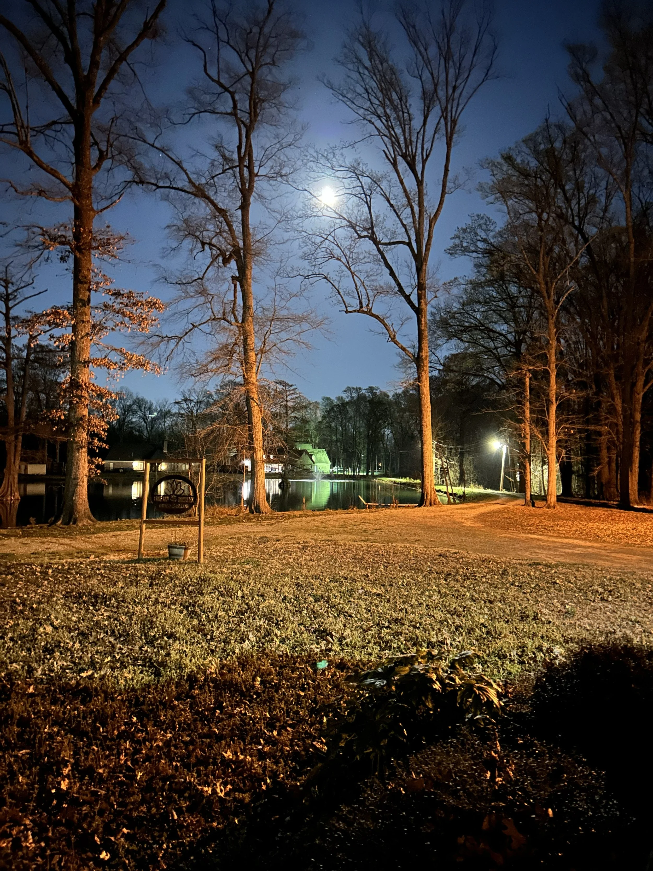 Mar3_full moon.jpeg