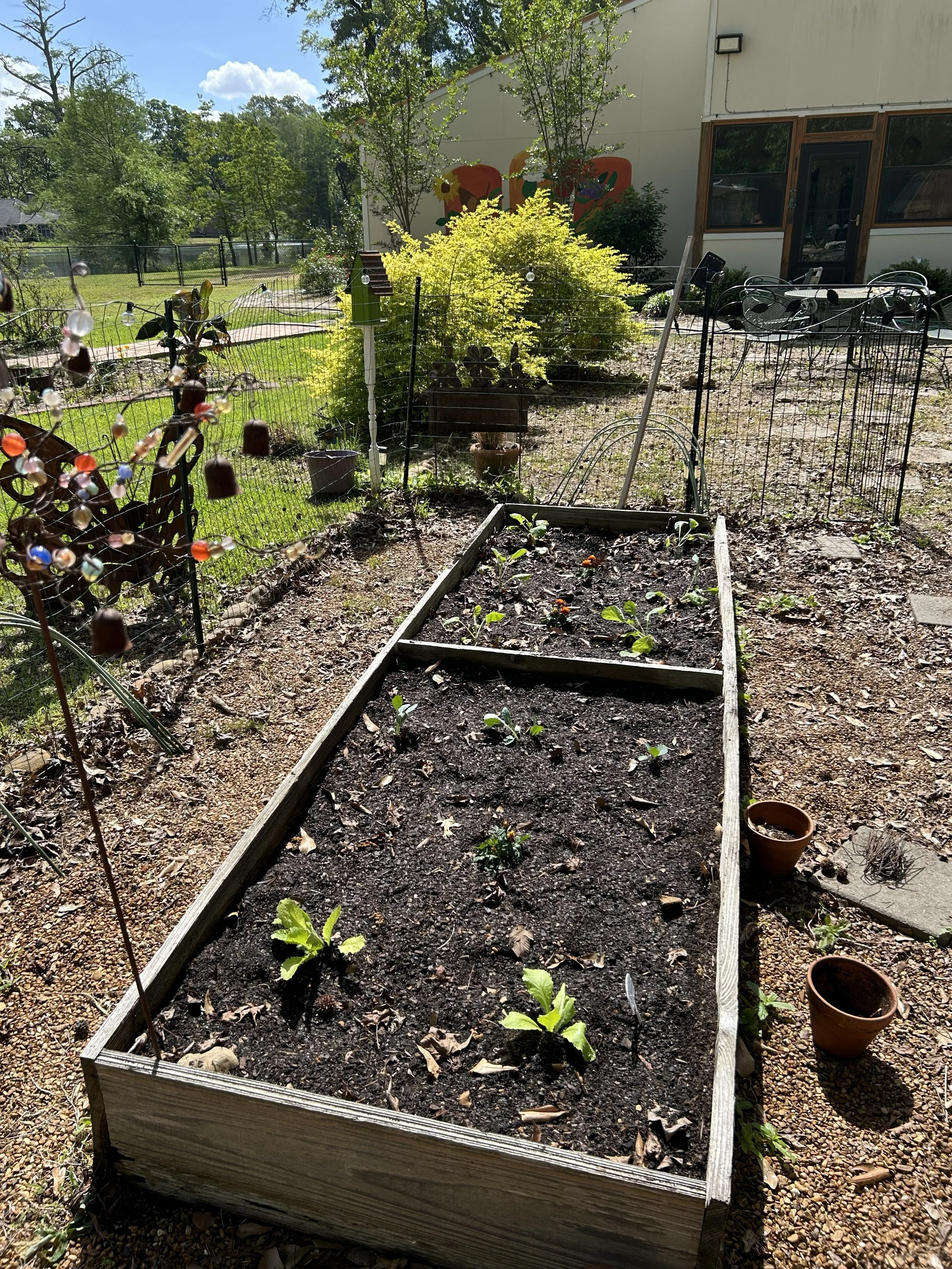 apr15_garden2.jpeg