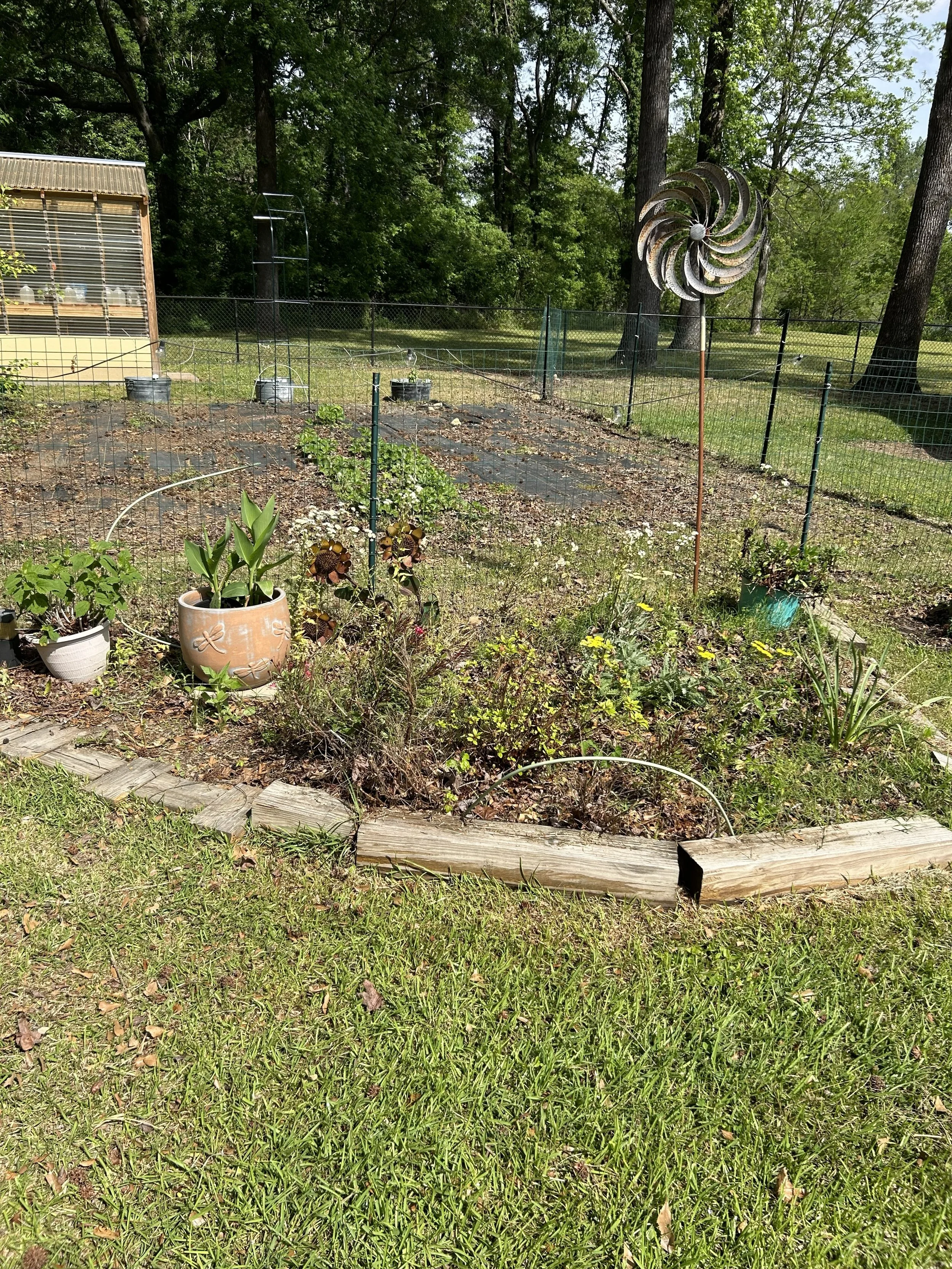 apr15_garden10.jpeg