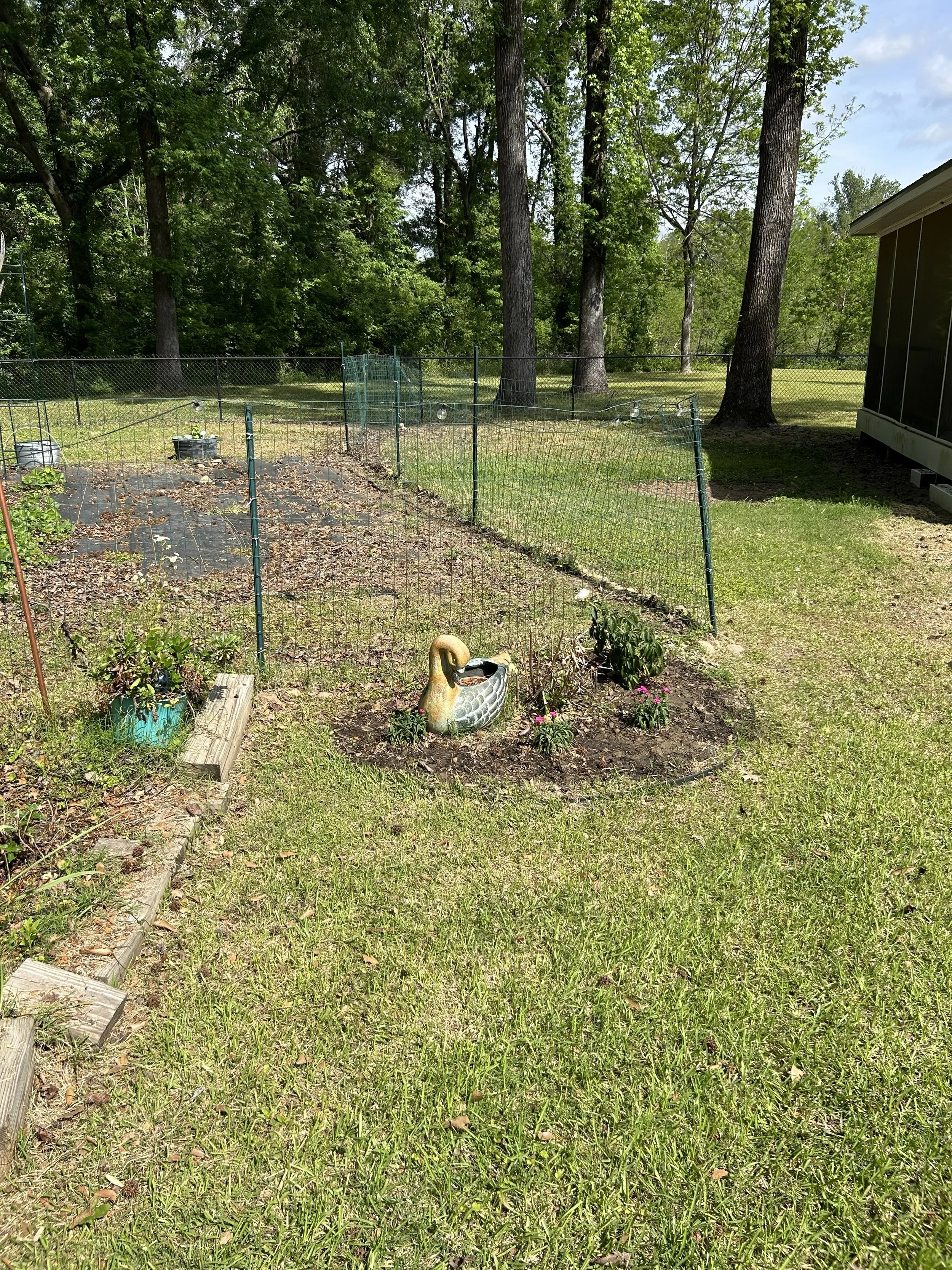 apr15_garden11.jpeg