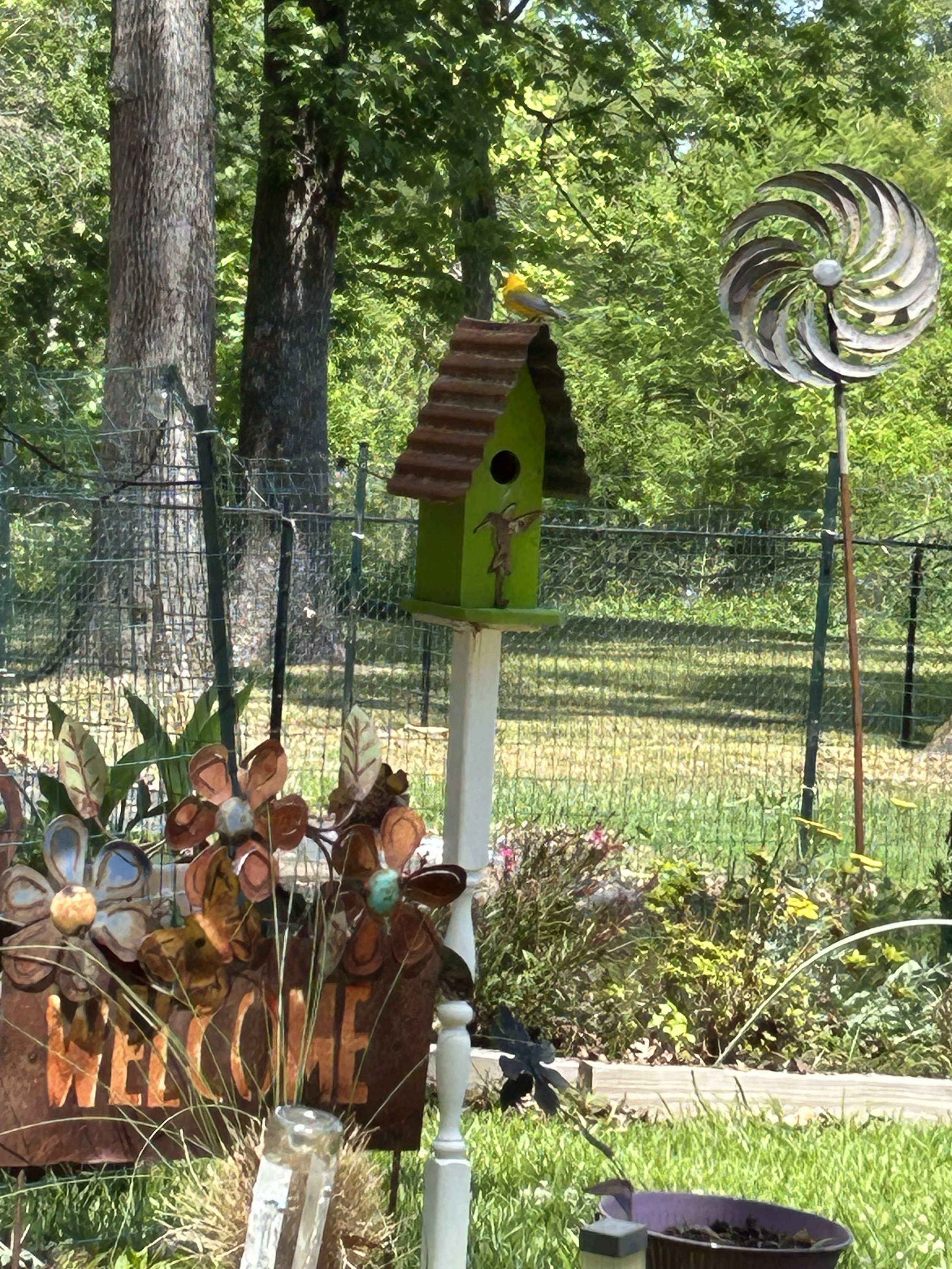 Apr23_New Finch Nest3.jpeg
