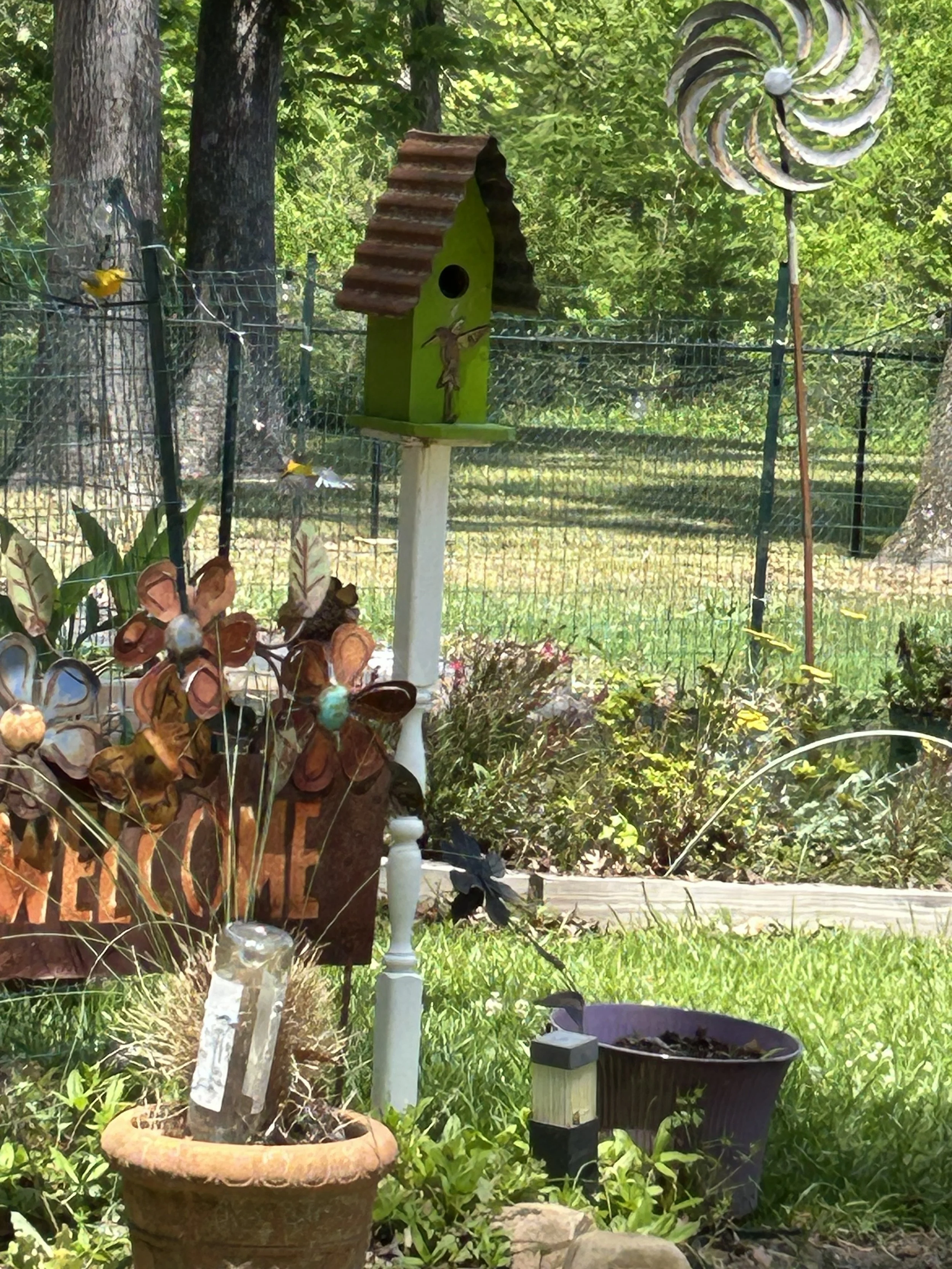 Apr23_New Finch Nest4.jpeg