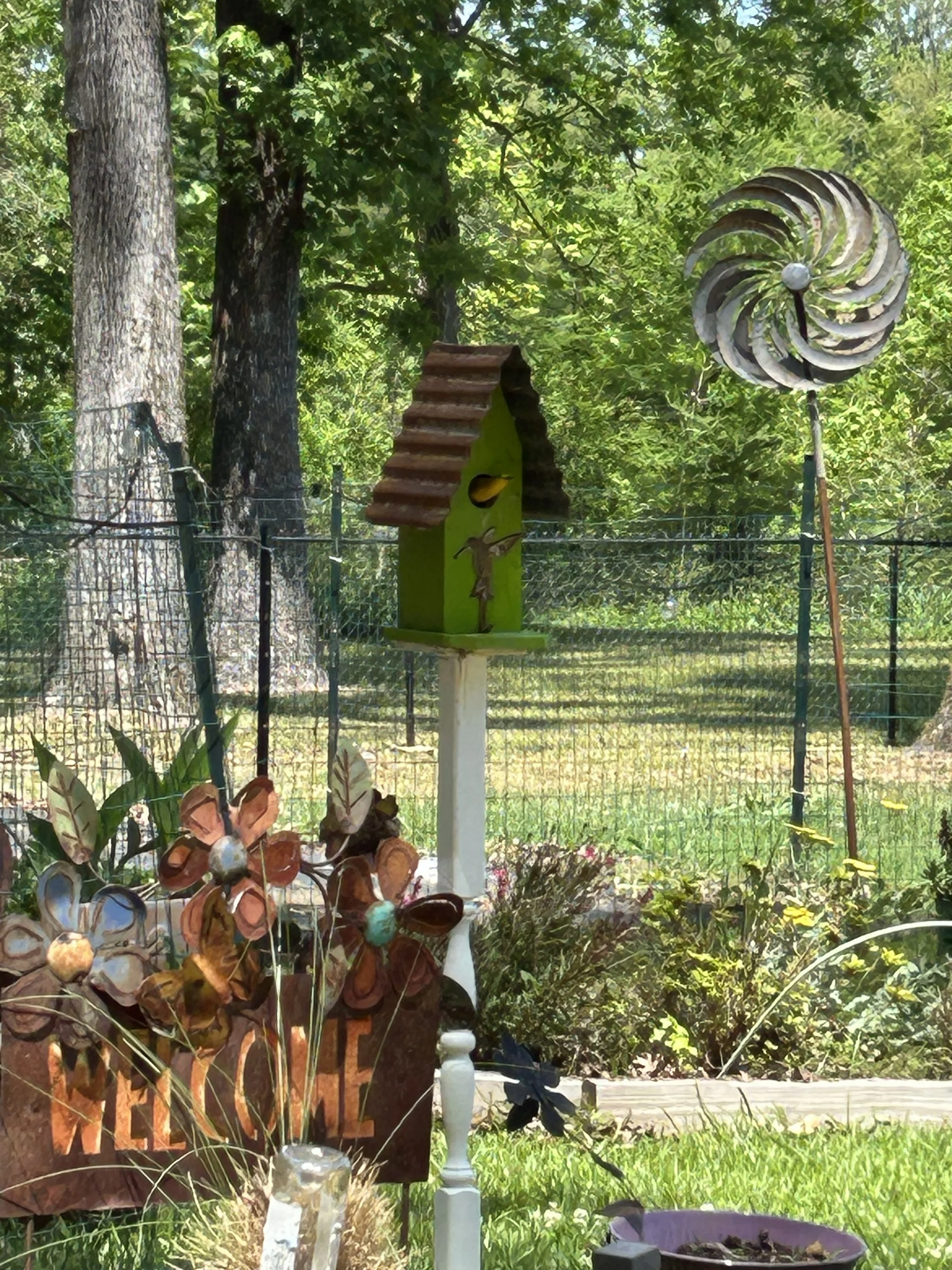 Apr23_New Finch Nest7.jpeg