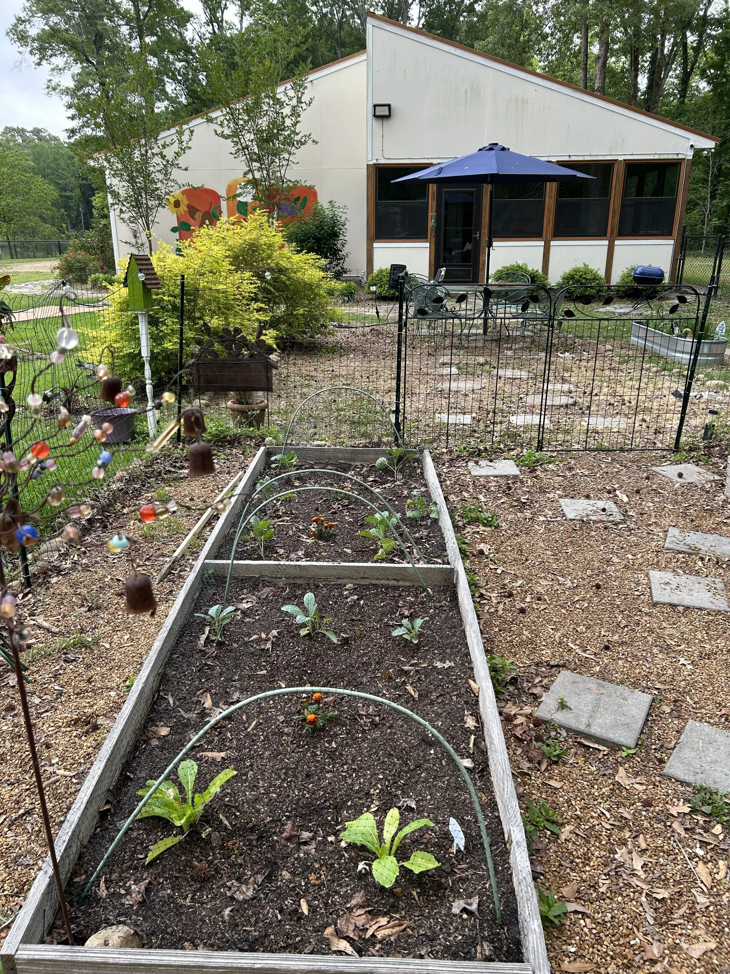 Apr24_garden.jpeg