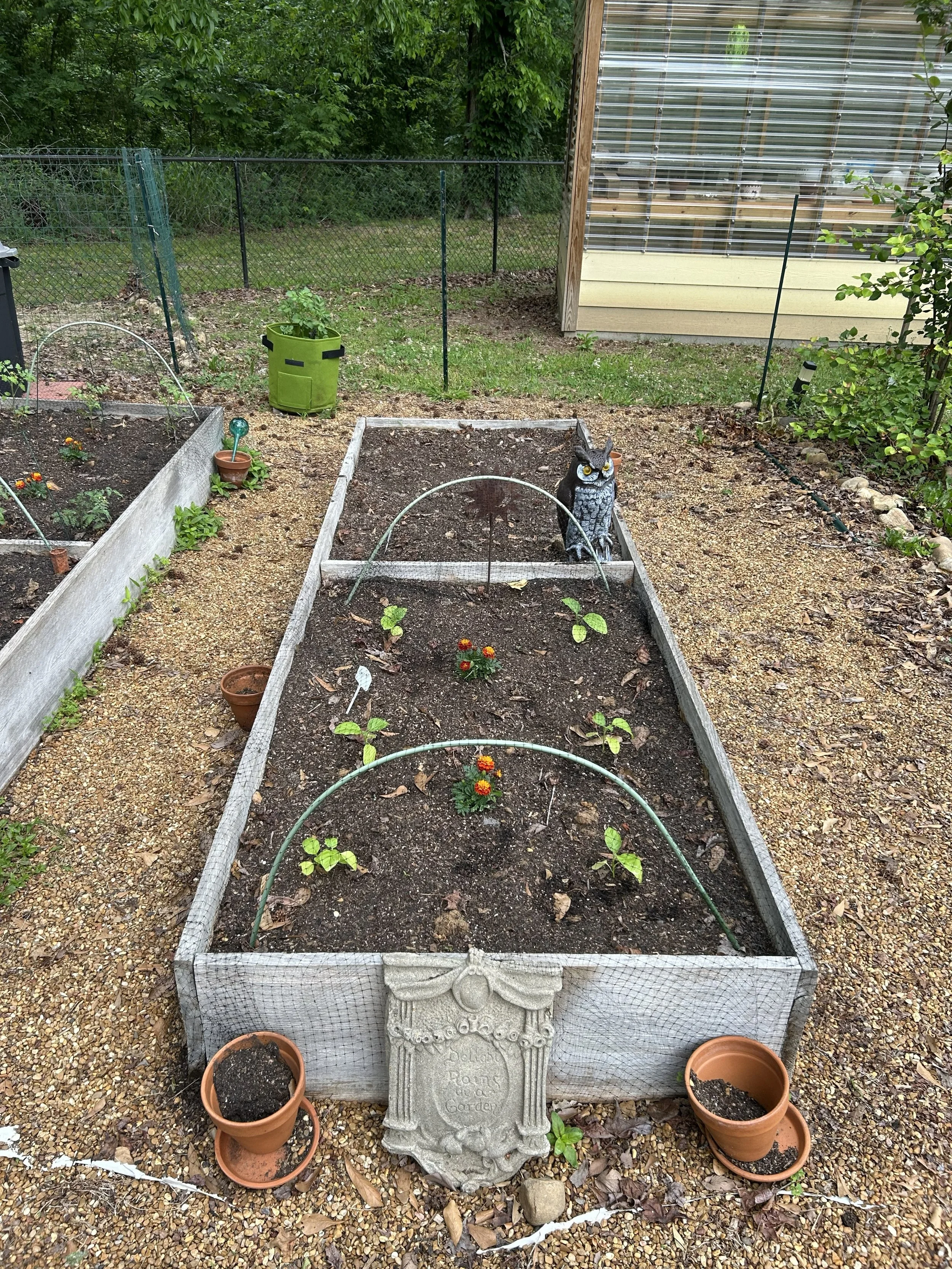 Apr24_garden3.jpeg