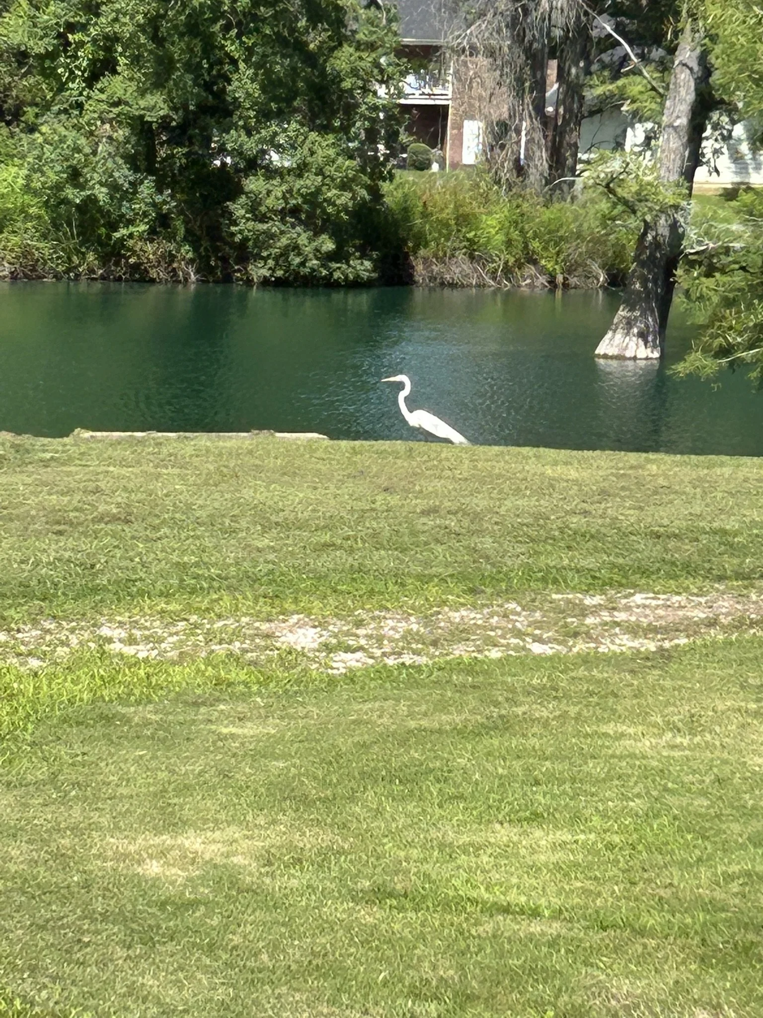 IMG_5322.JPEG