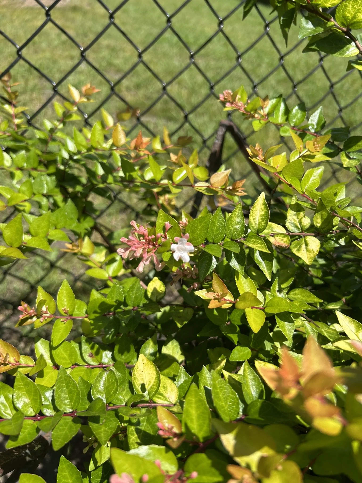 IMG_5407.JPEG