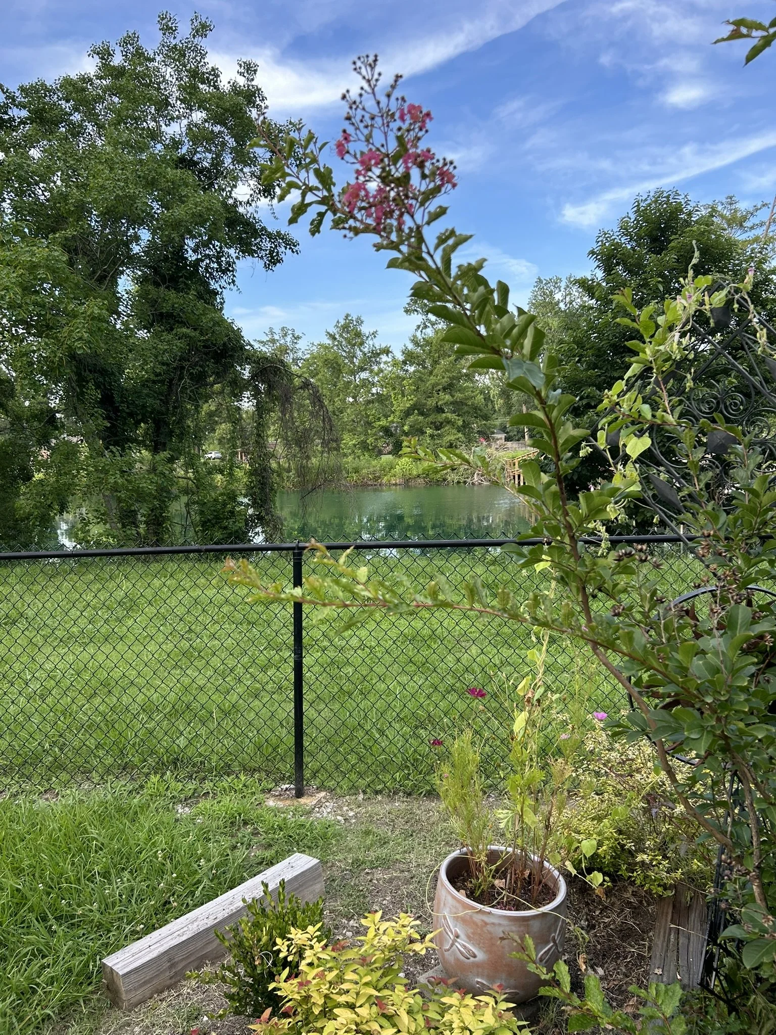 IMG_5312.JPEG