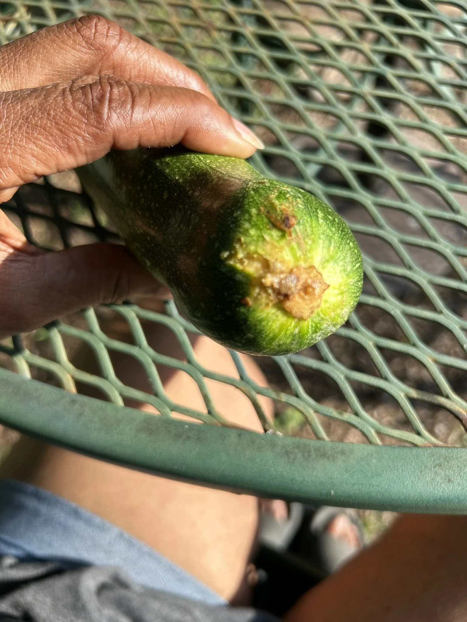 IMG_5631.JPEG