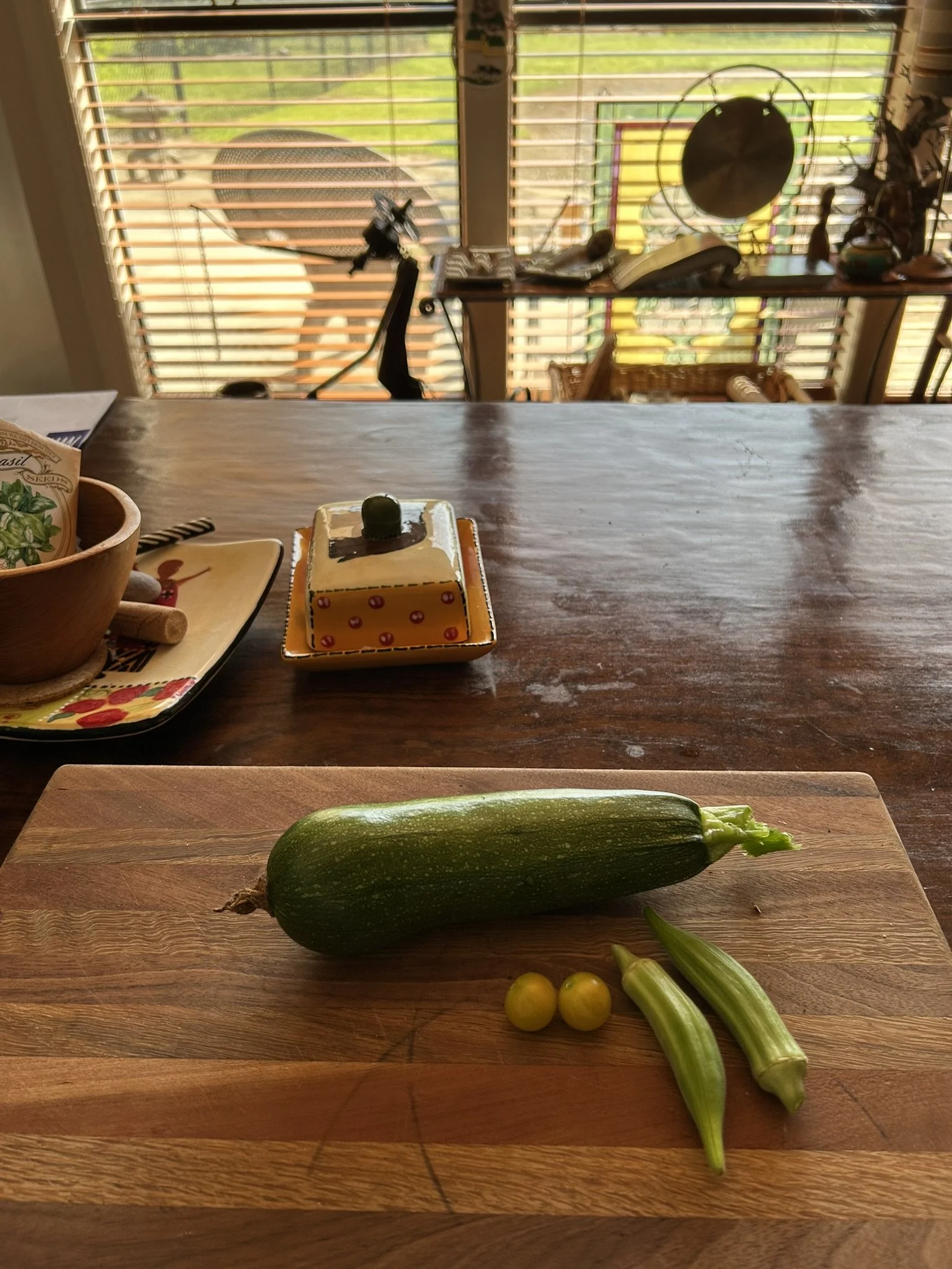 1stZuchini_June30_3.JPEG
