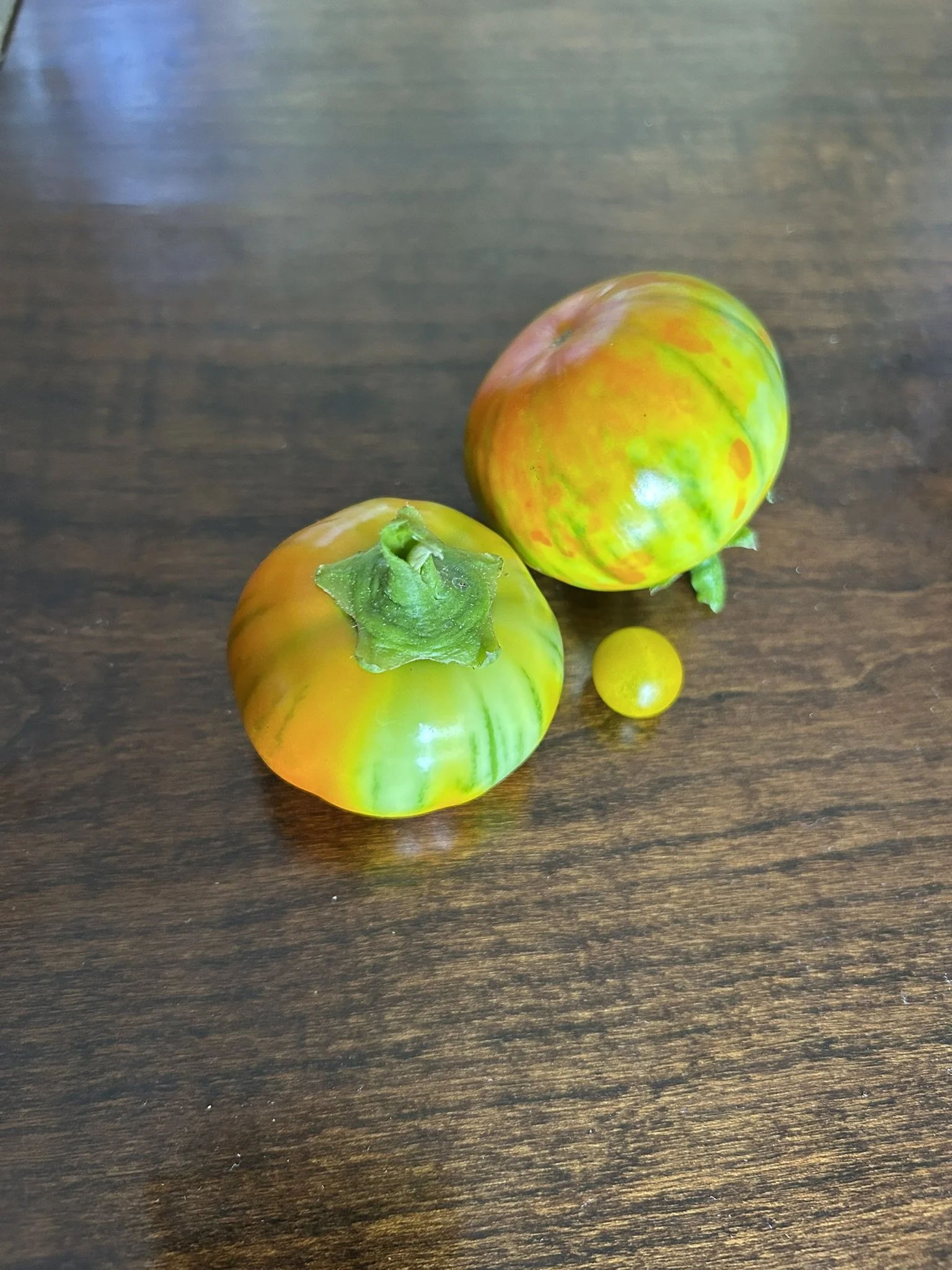 July3_harvest.JPEG