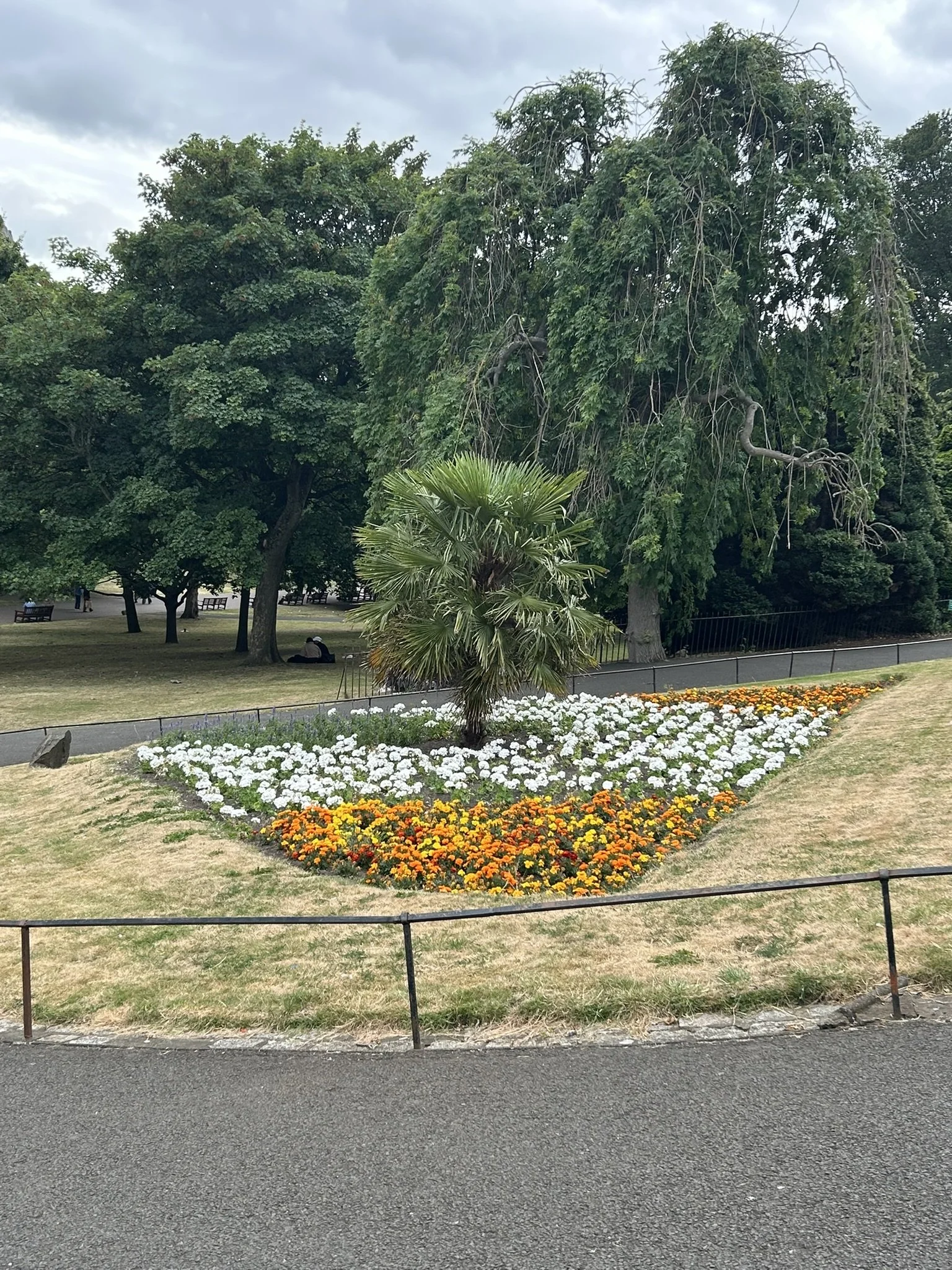 IMG_5737.JPEG