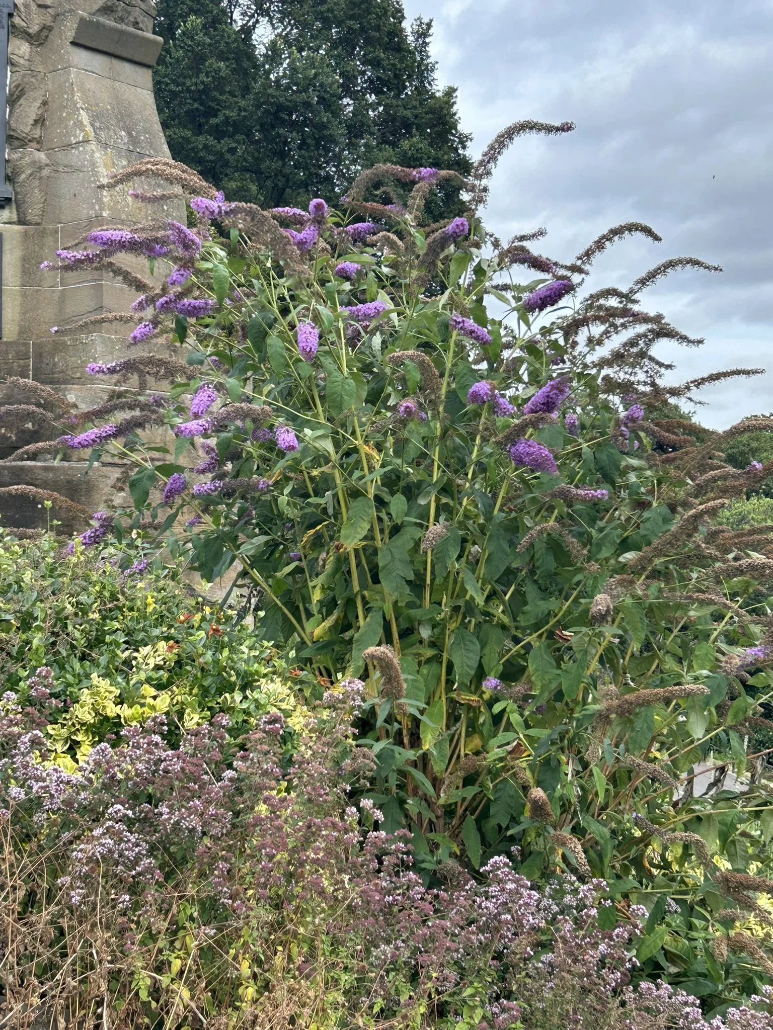 IMG_5744.JPEG