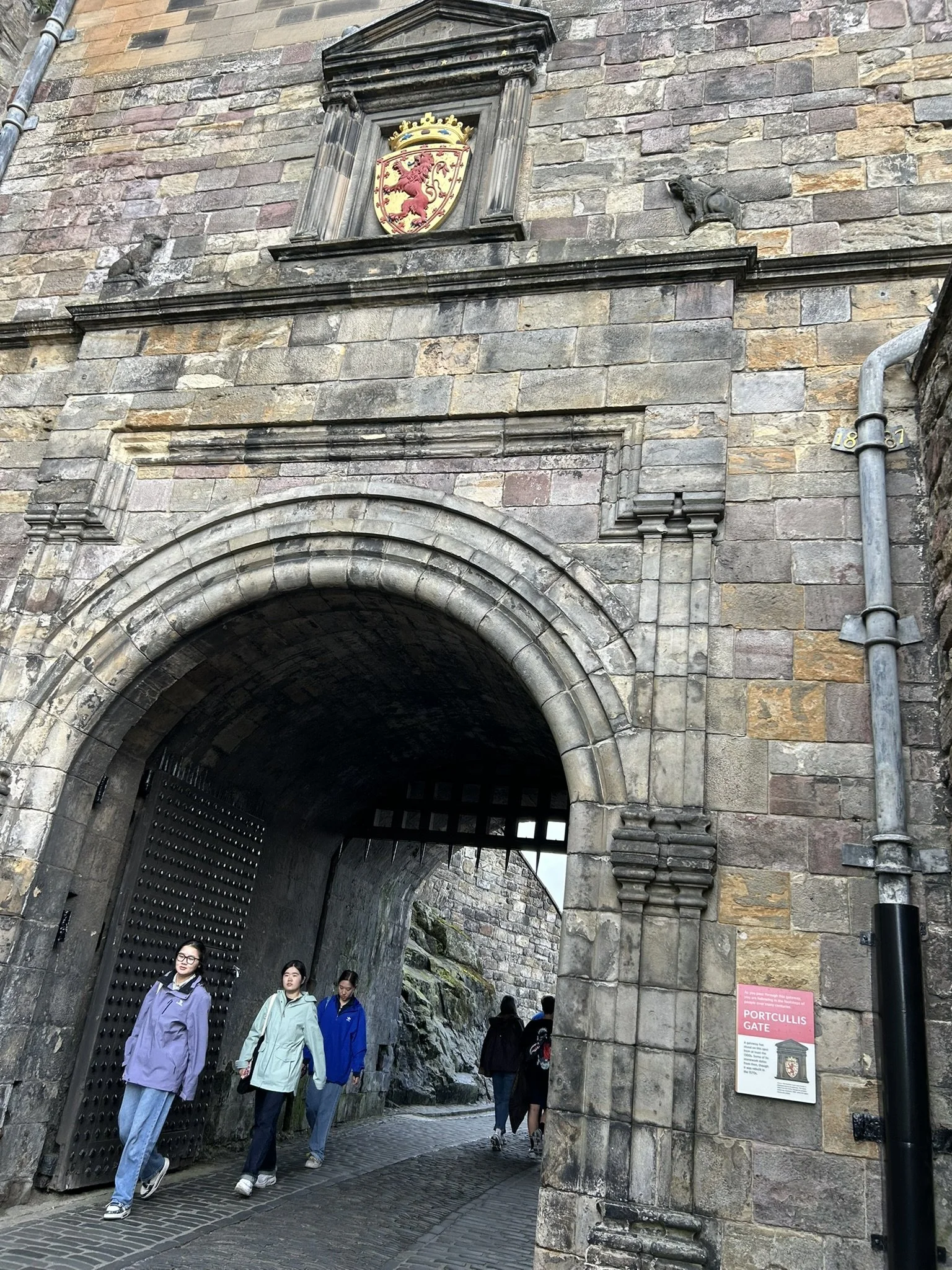 IMG_5755.JPEG
