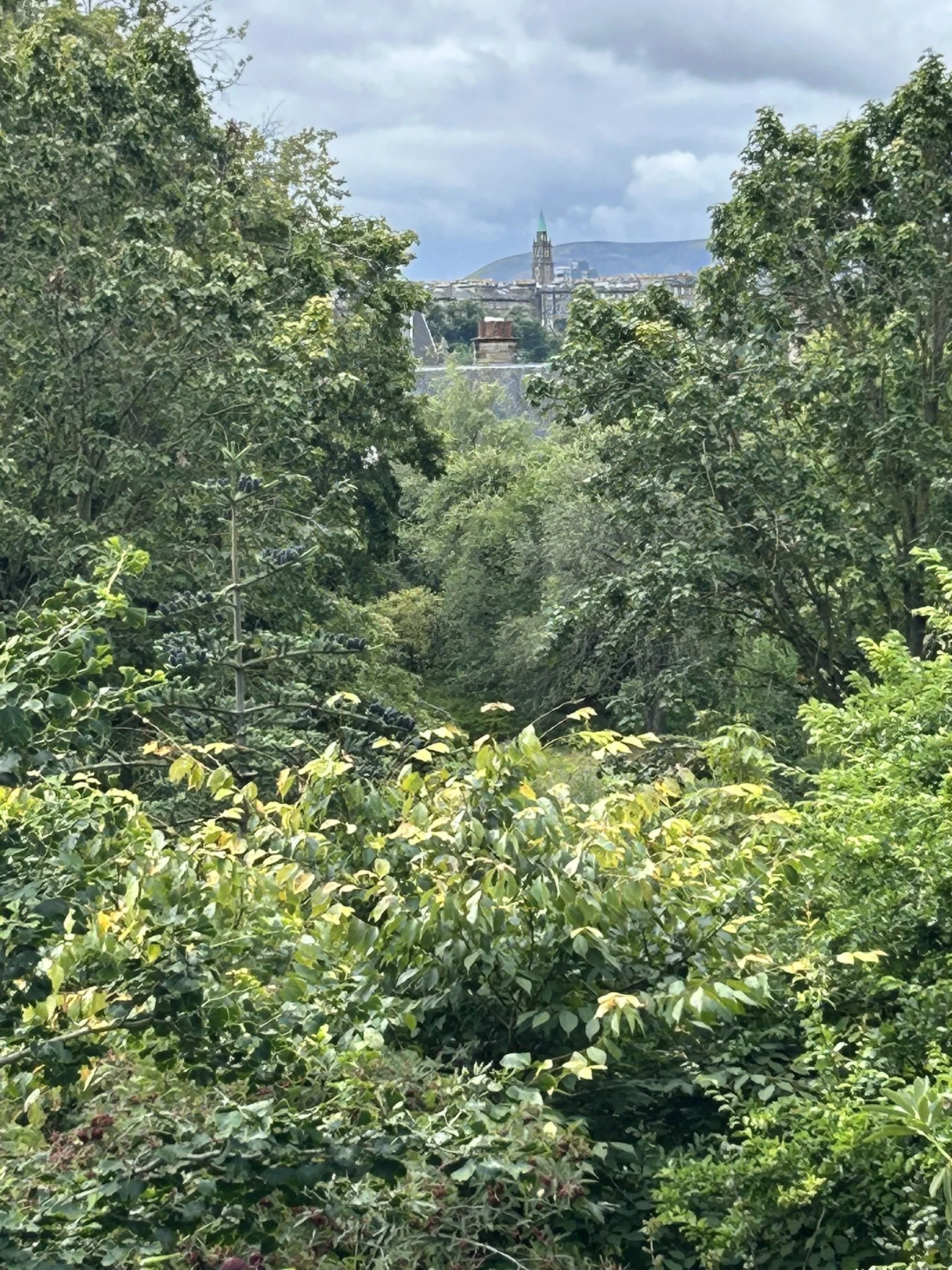 IMG_5843.JPEG