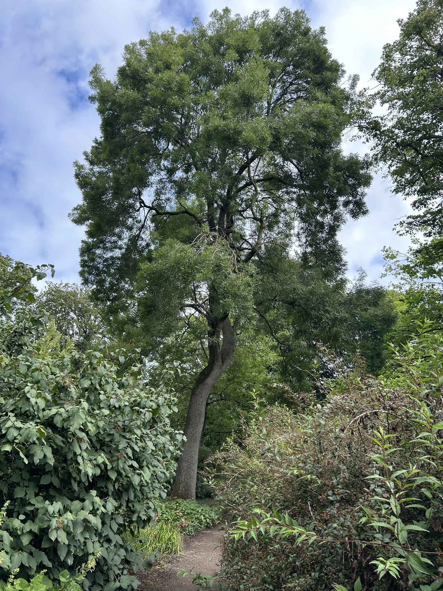 IMG_5849.JPEG