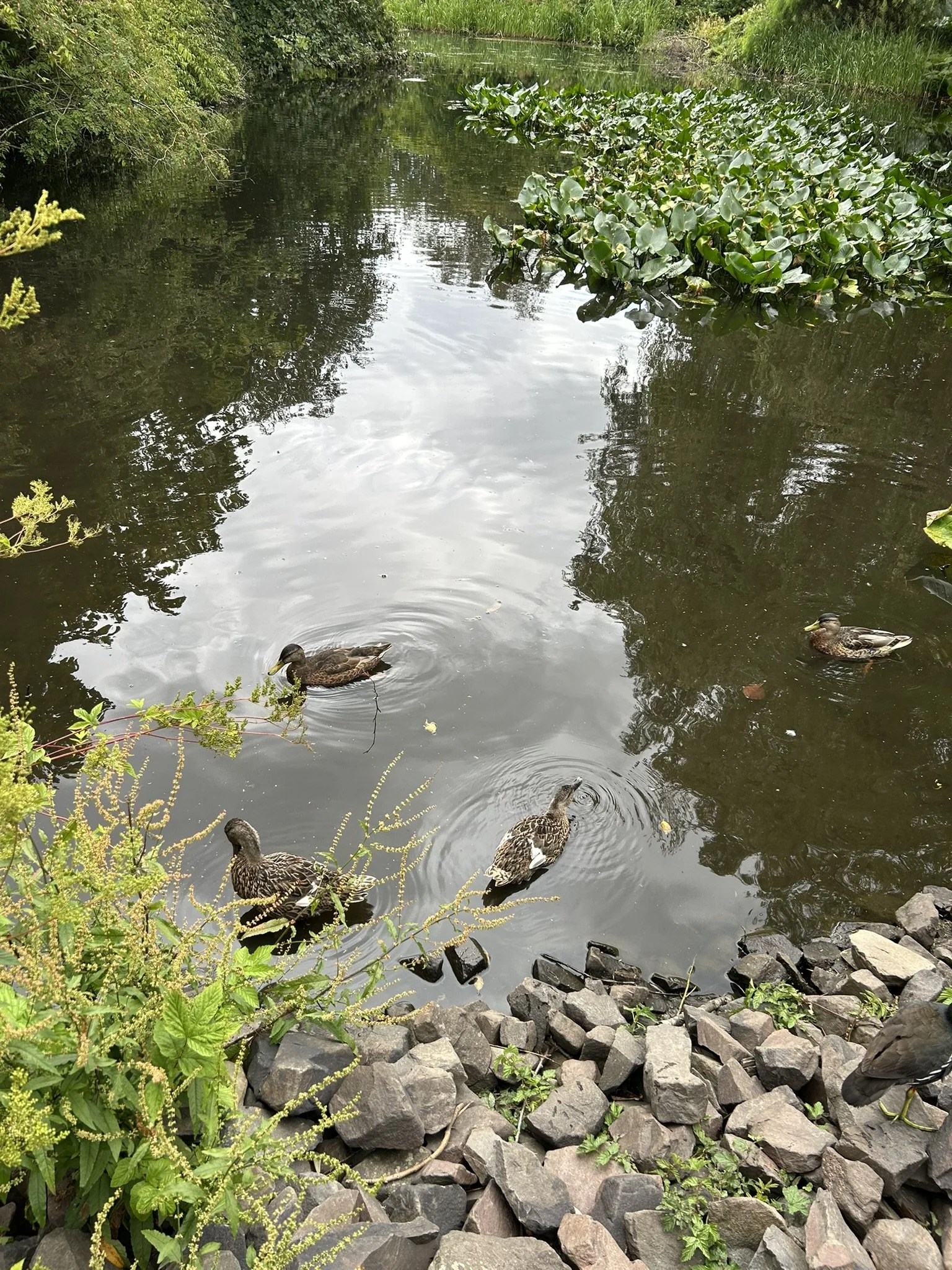 IMG_5855.JPEG