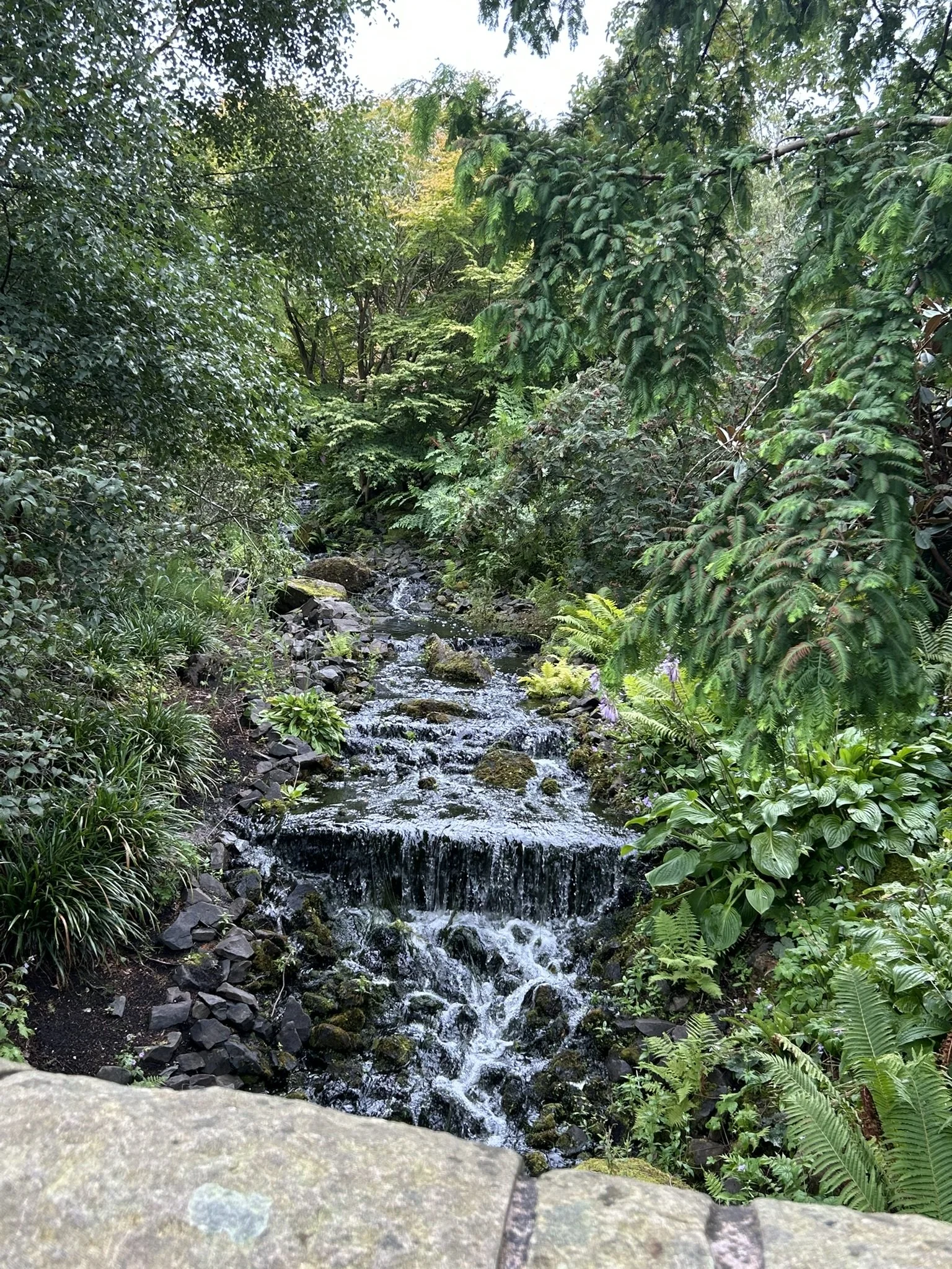 IMG_5863.JPEG