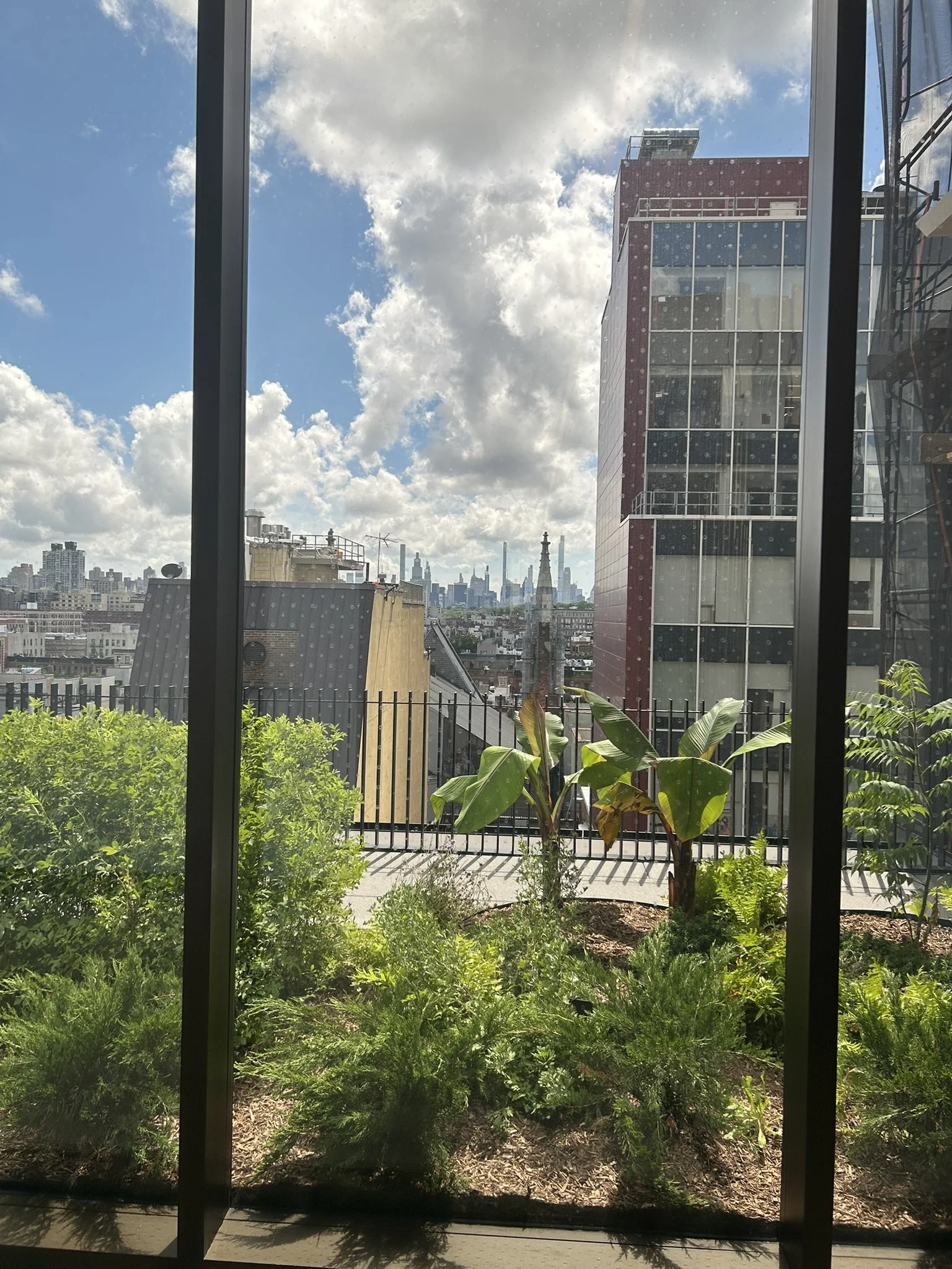 IMG_5997.JPEG