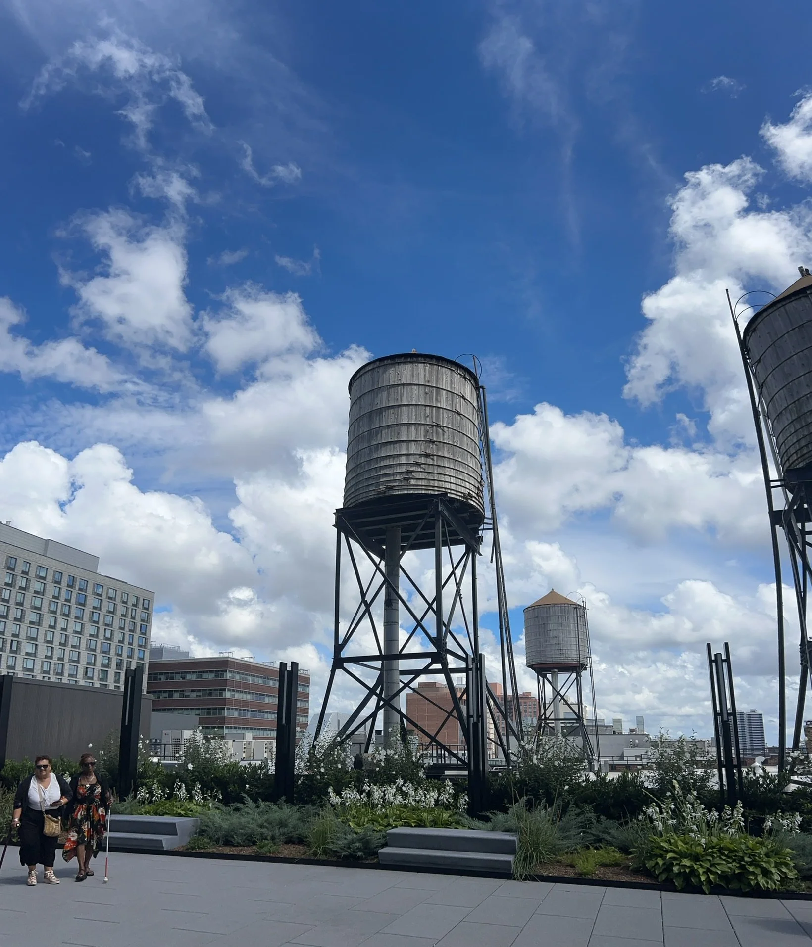 IMG_6002.JPEG