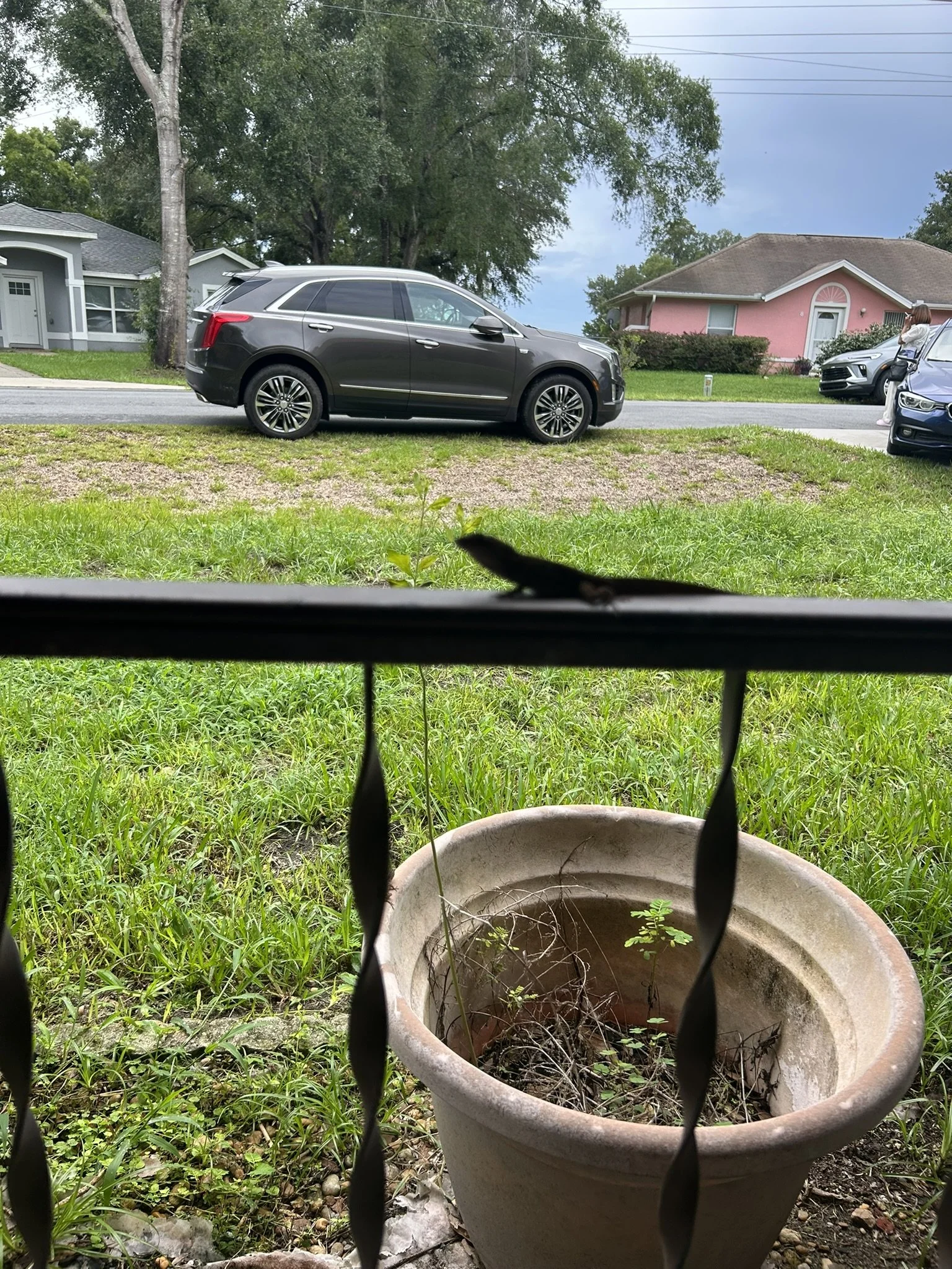 IMG_6081.JPEG