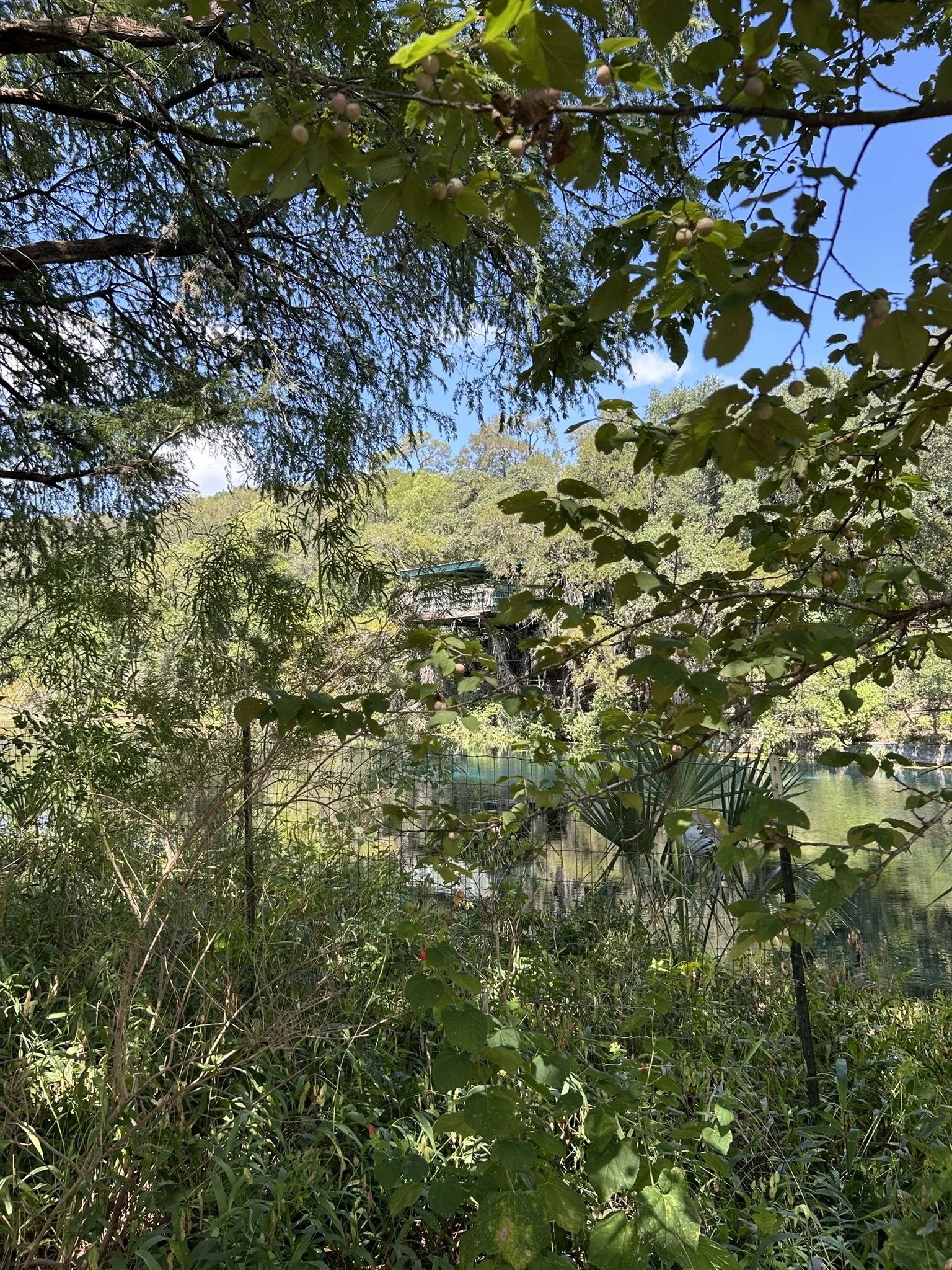 IMG_6201.JPEG