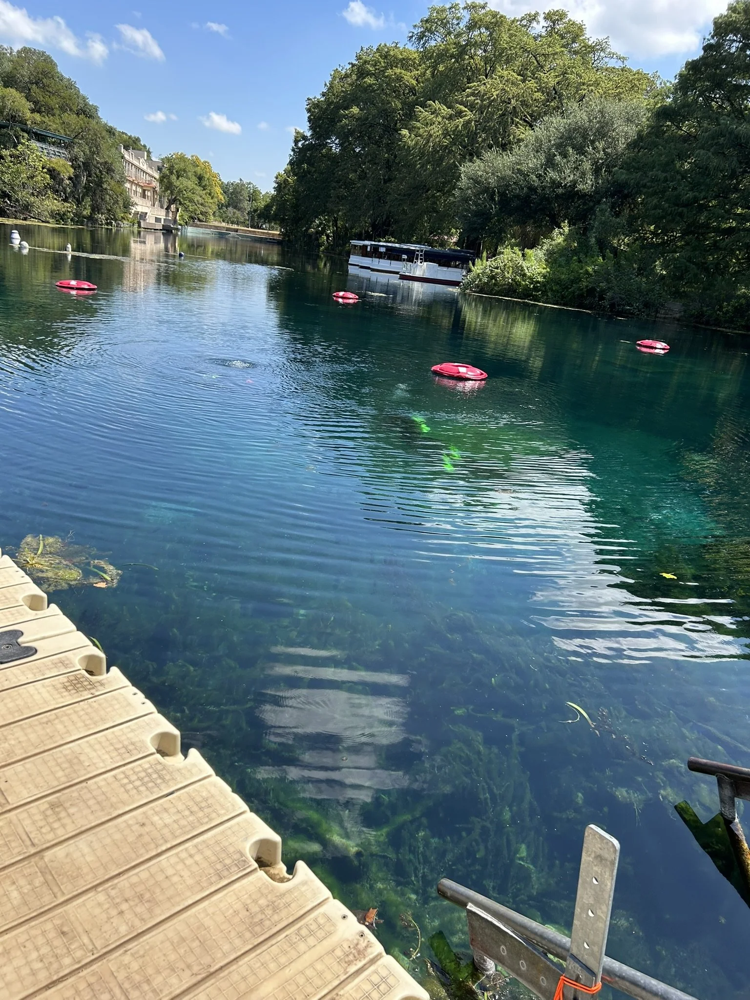 IMG_6203.JPEG