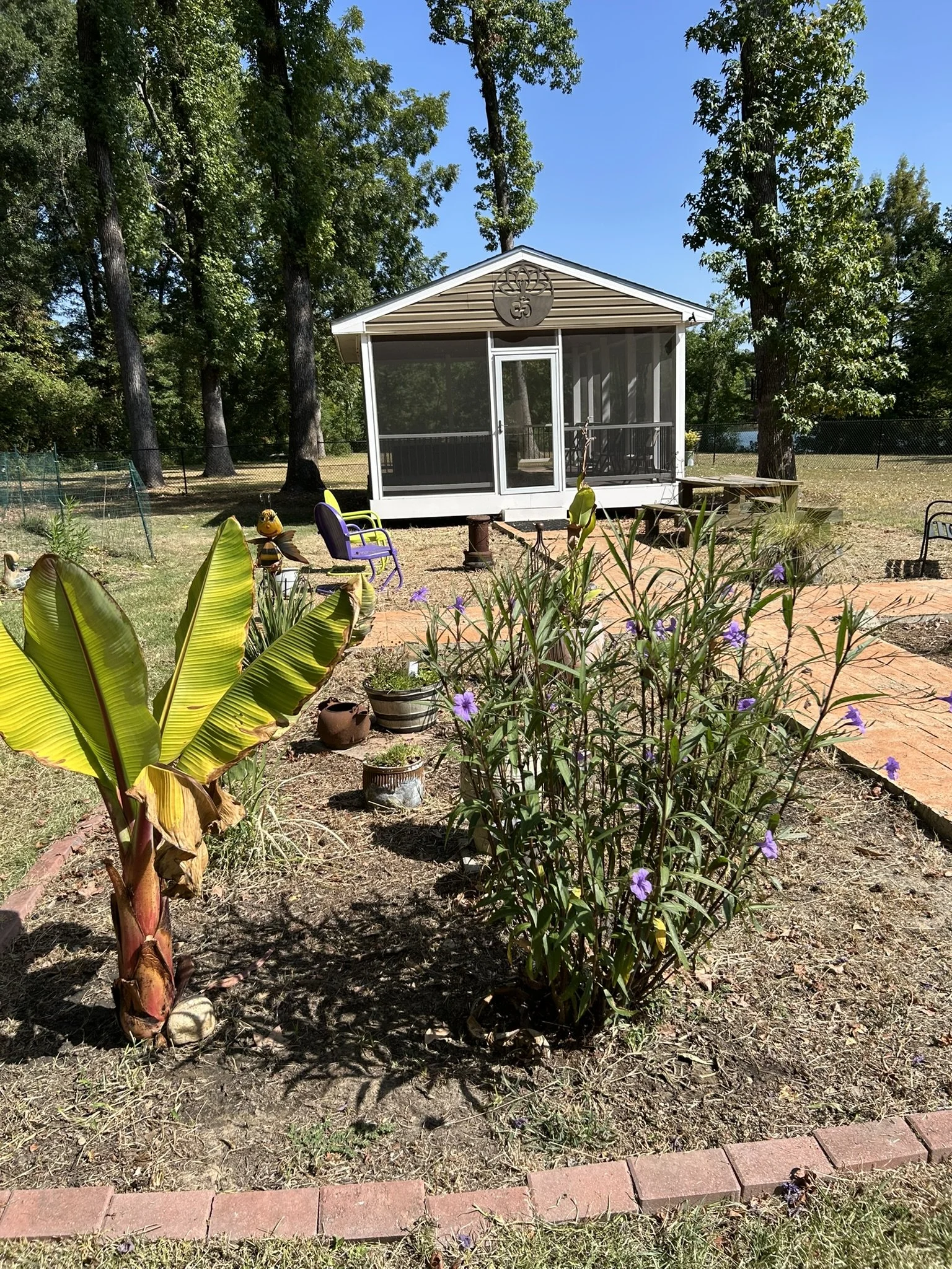 IMG_6133.JPEG