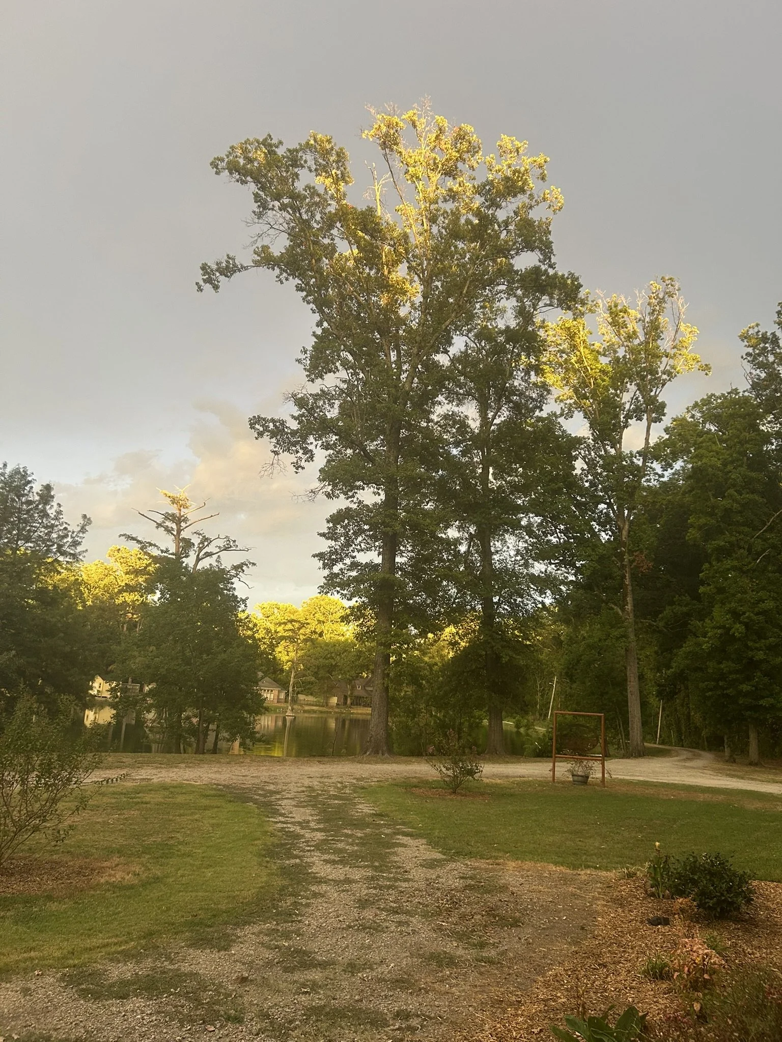 IMG_6155.JPEG