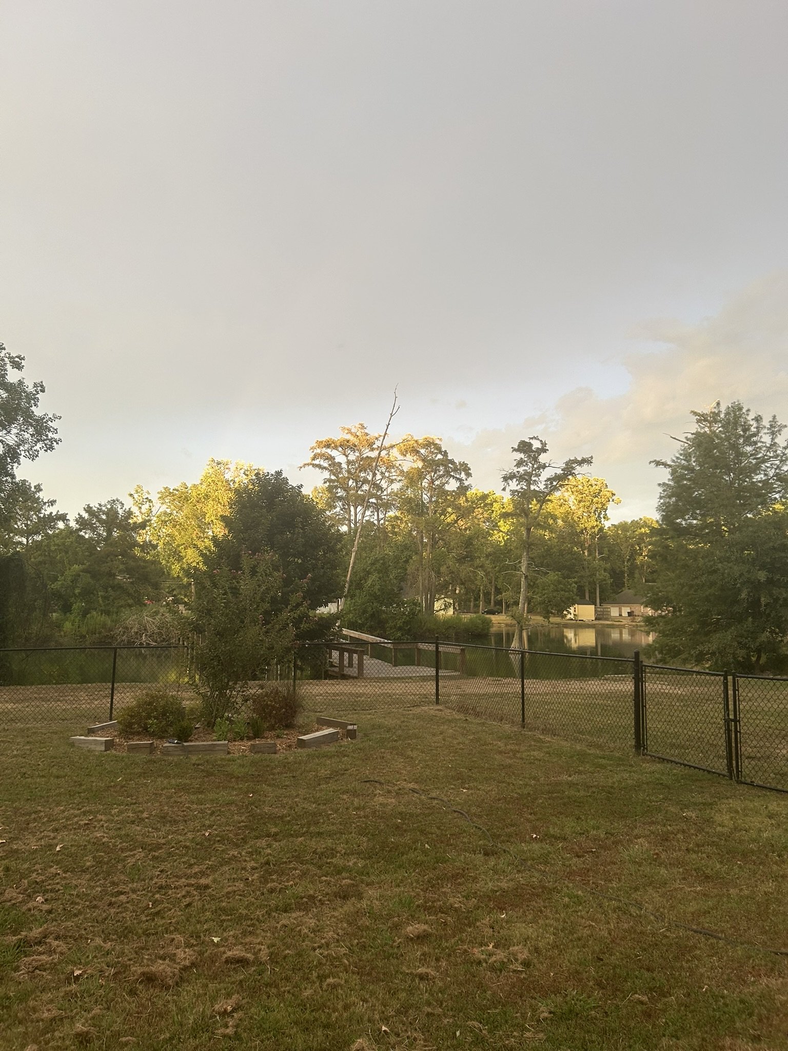 IMG_6159.JPEG