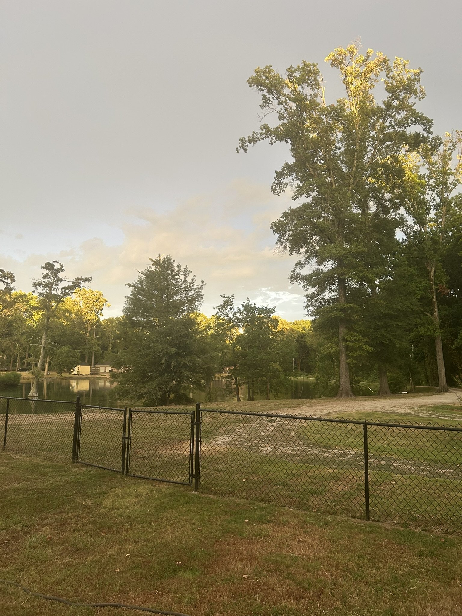 IMG_6160.JPEG