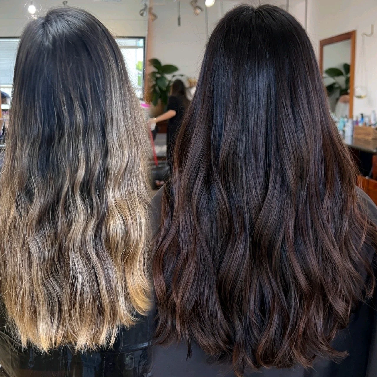 cameraRollTempImage 3.jpg