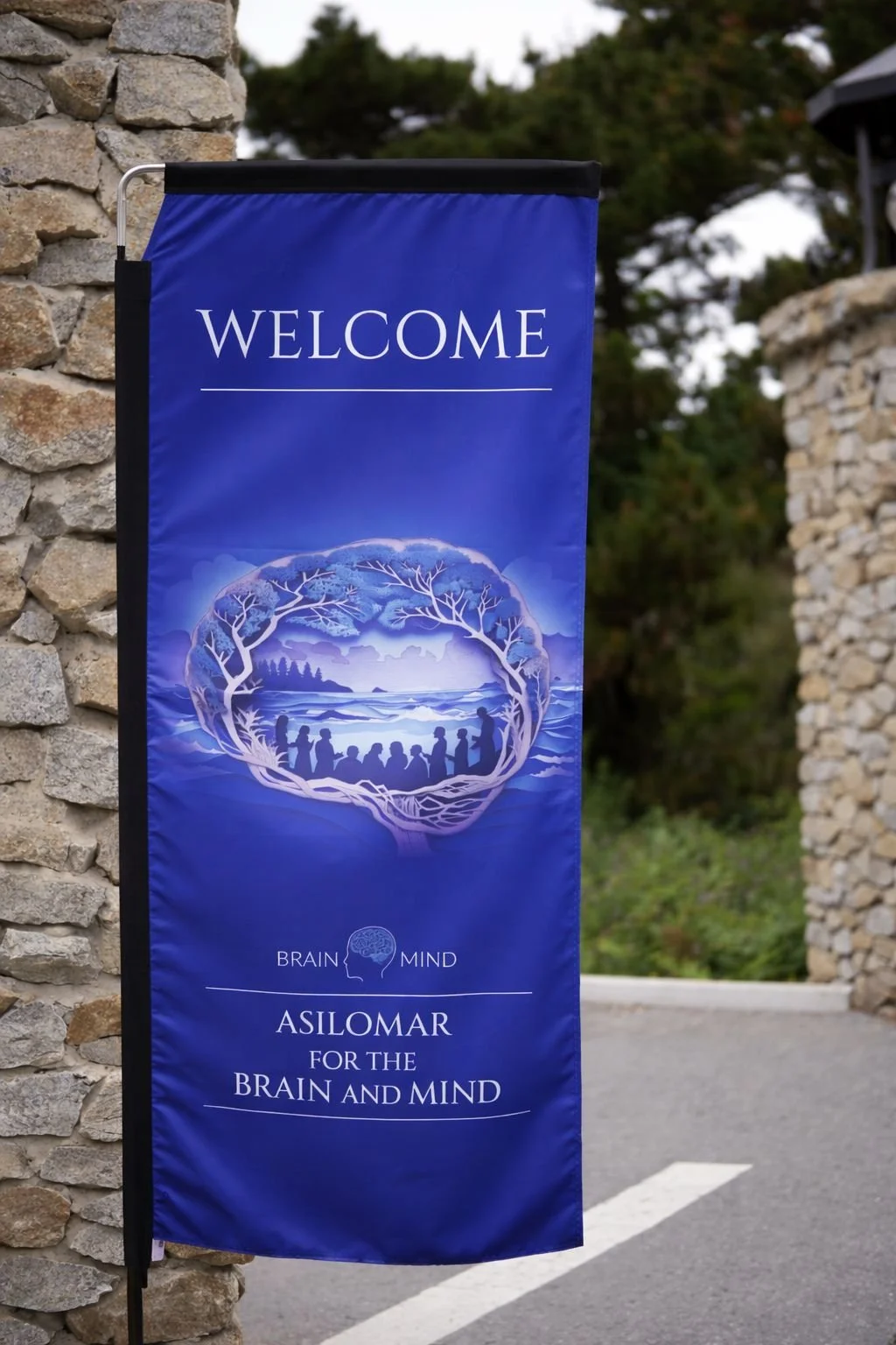 WhatsApp Image 2026-04-06 at 11.25.36.jpeg