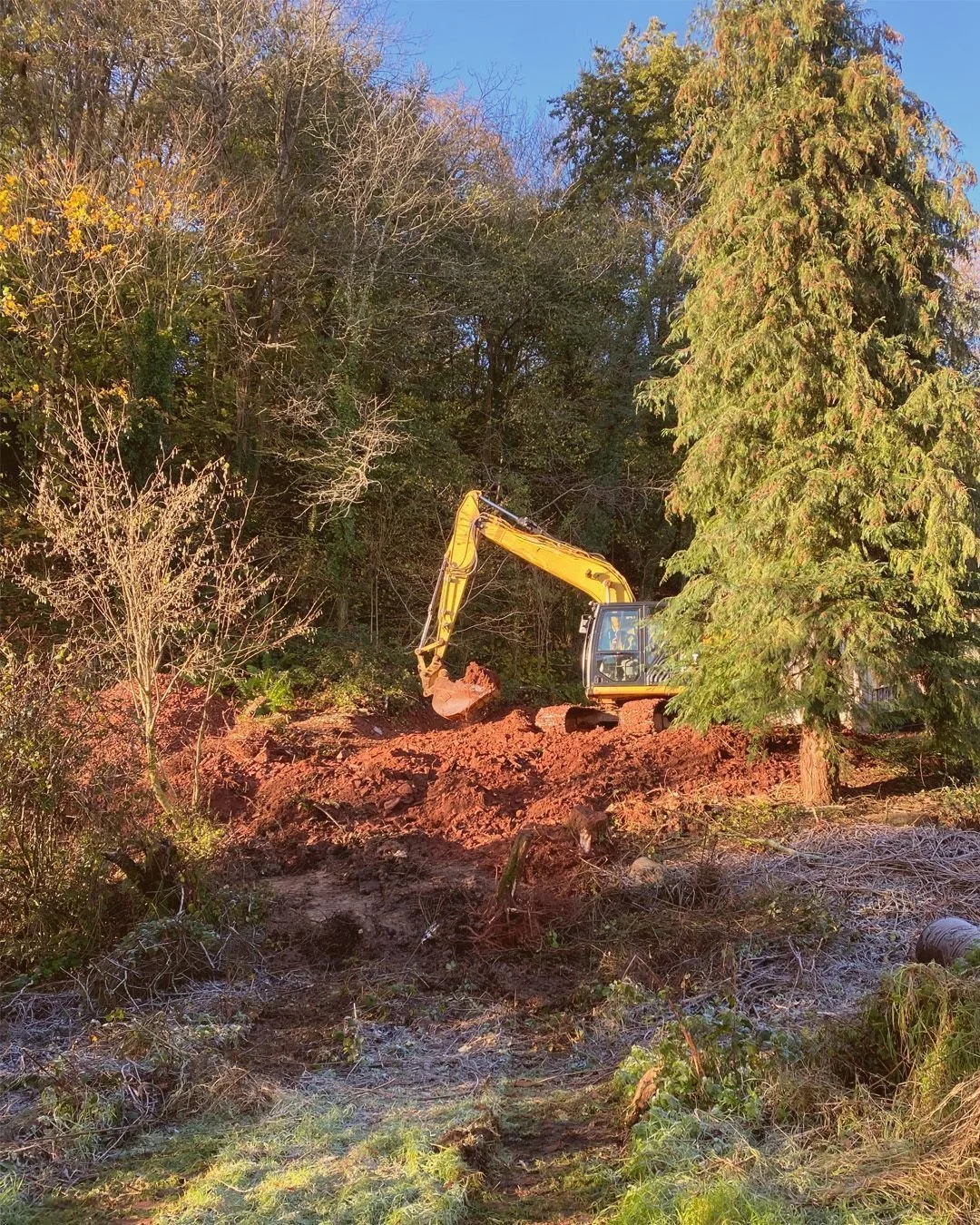 Breaking ground - it was an exciting week on site this week. It's the first step in creating a light-filled space that is open to the views. These banks will be re-planted with the ferns that were put aside before the works started and a wildflower m