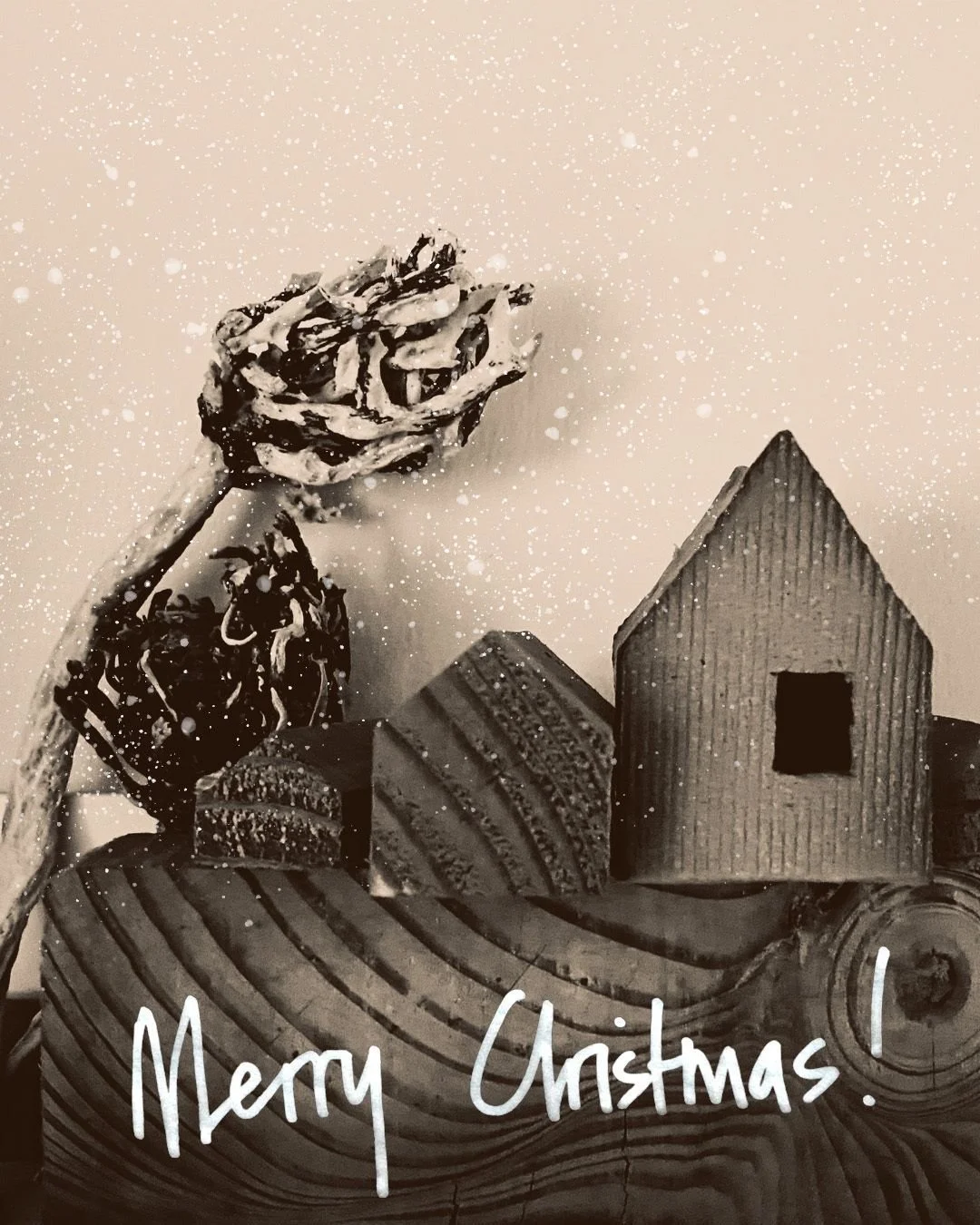 Merry Christmas from Folia Architects! Wishing you a peaceful Christmas and a wonderful start to the New Year.