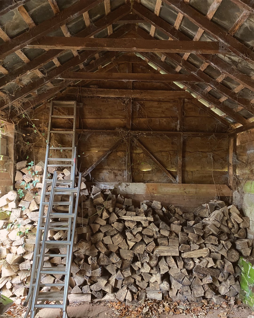 Beauty in the vernacular. A lovely old apple store (now full of logs!) on site visit near Tiverton this week.

#FoliaArchitects #Tiverton #DevonArchitects #BarnConversion #VernacularArchitecture